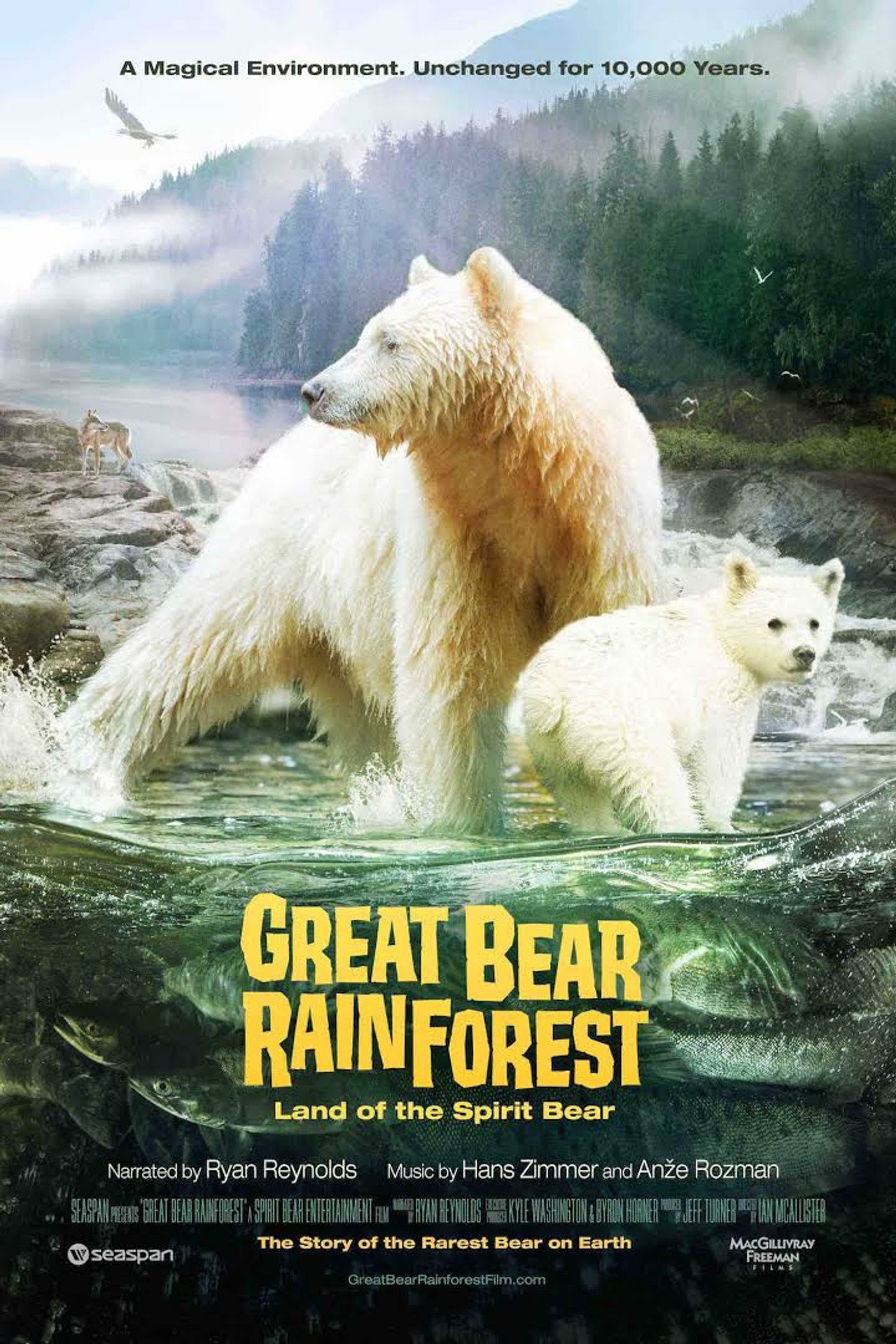 Pôster de Great Bear Rainforest: Land of the Spirit Bear