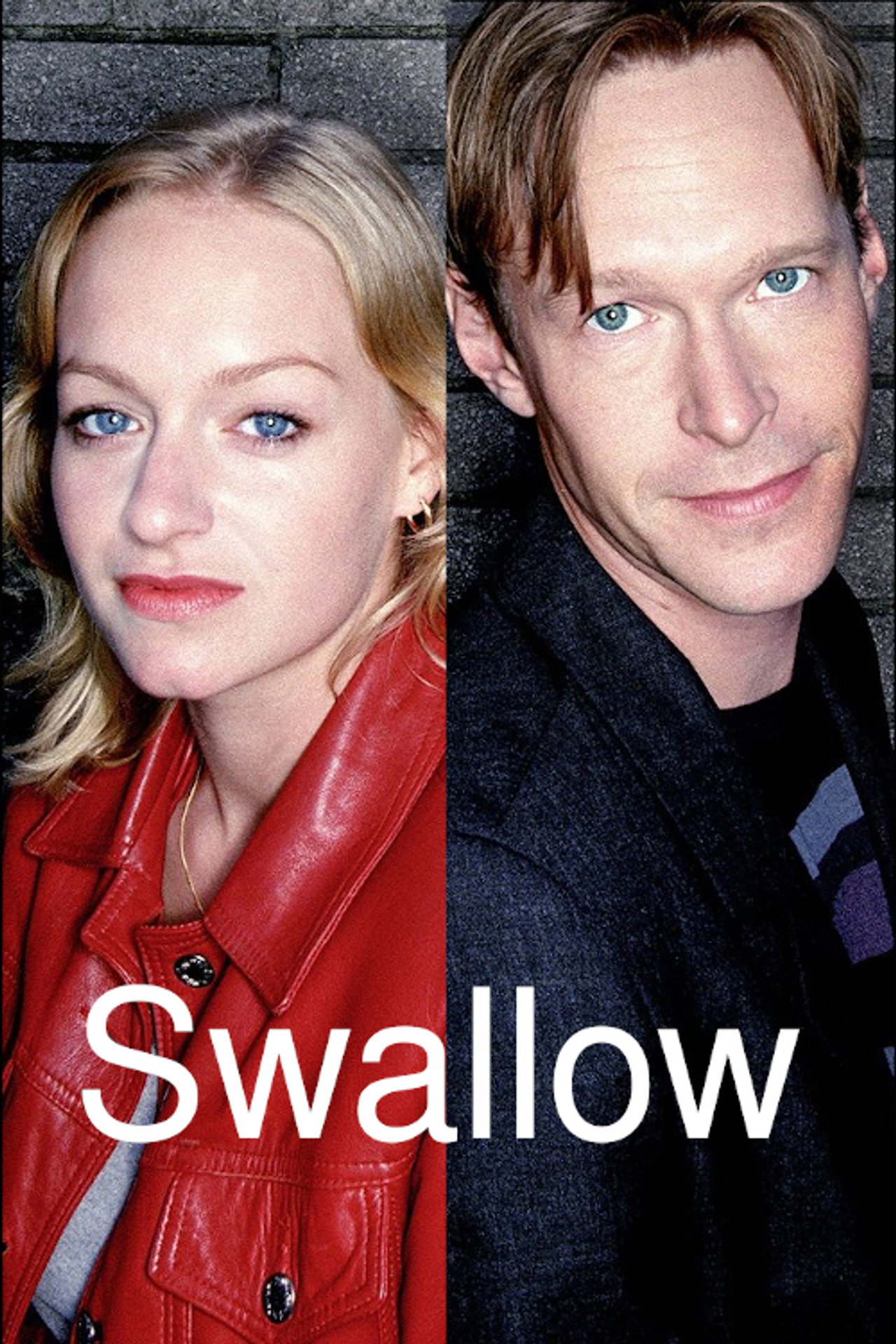 Pôster de Swallow