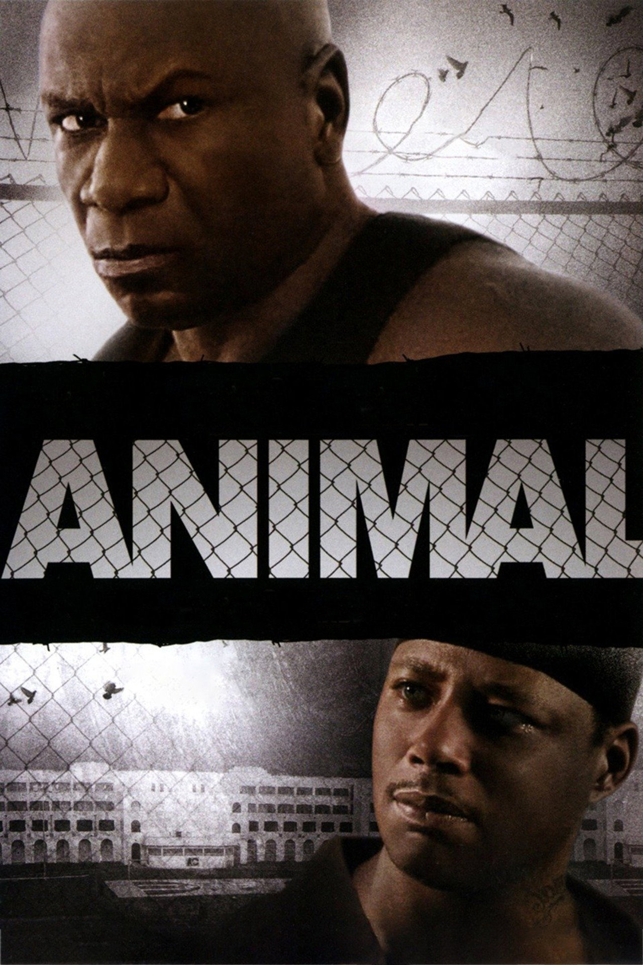 Pôster de Animal