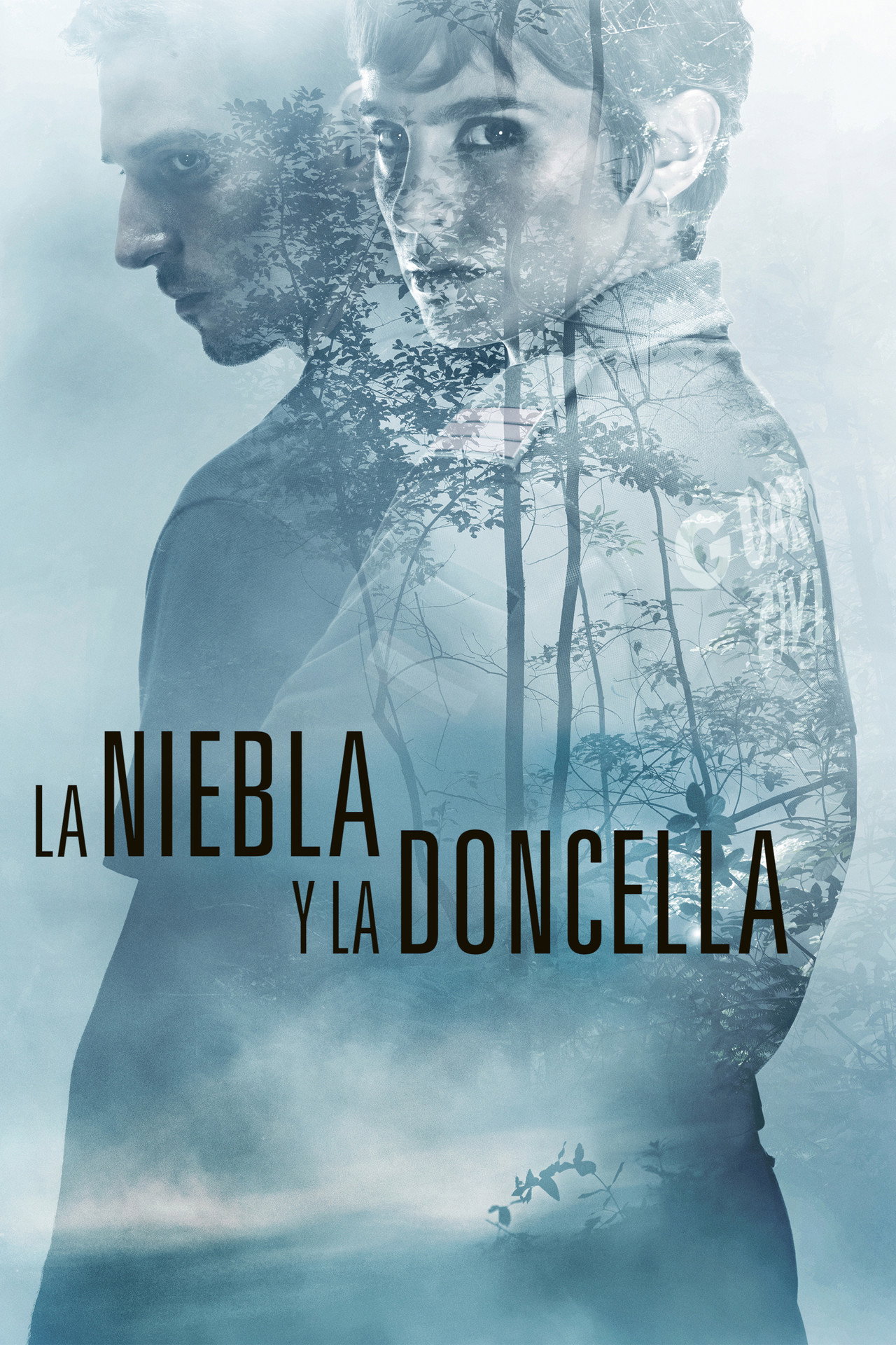 Pôster de La niebla y la doncella