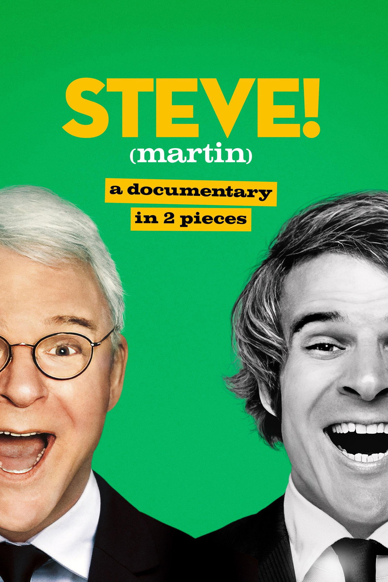 Pôster de STEVE! (martin) a documentary in 2 pieces
