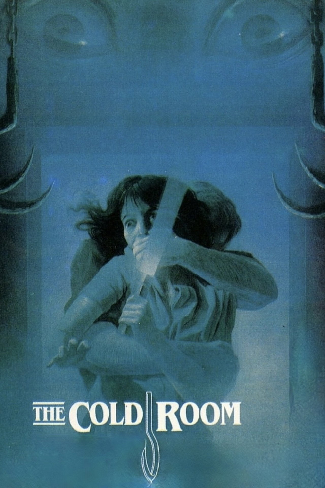 Pôster de The Cold Room