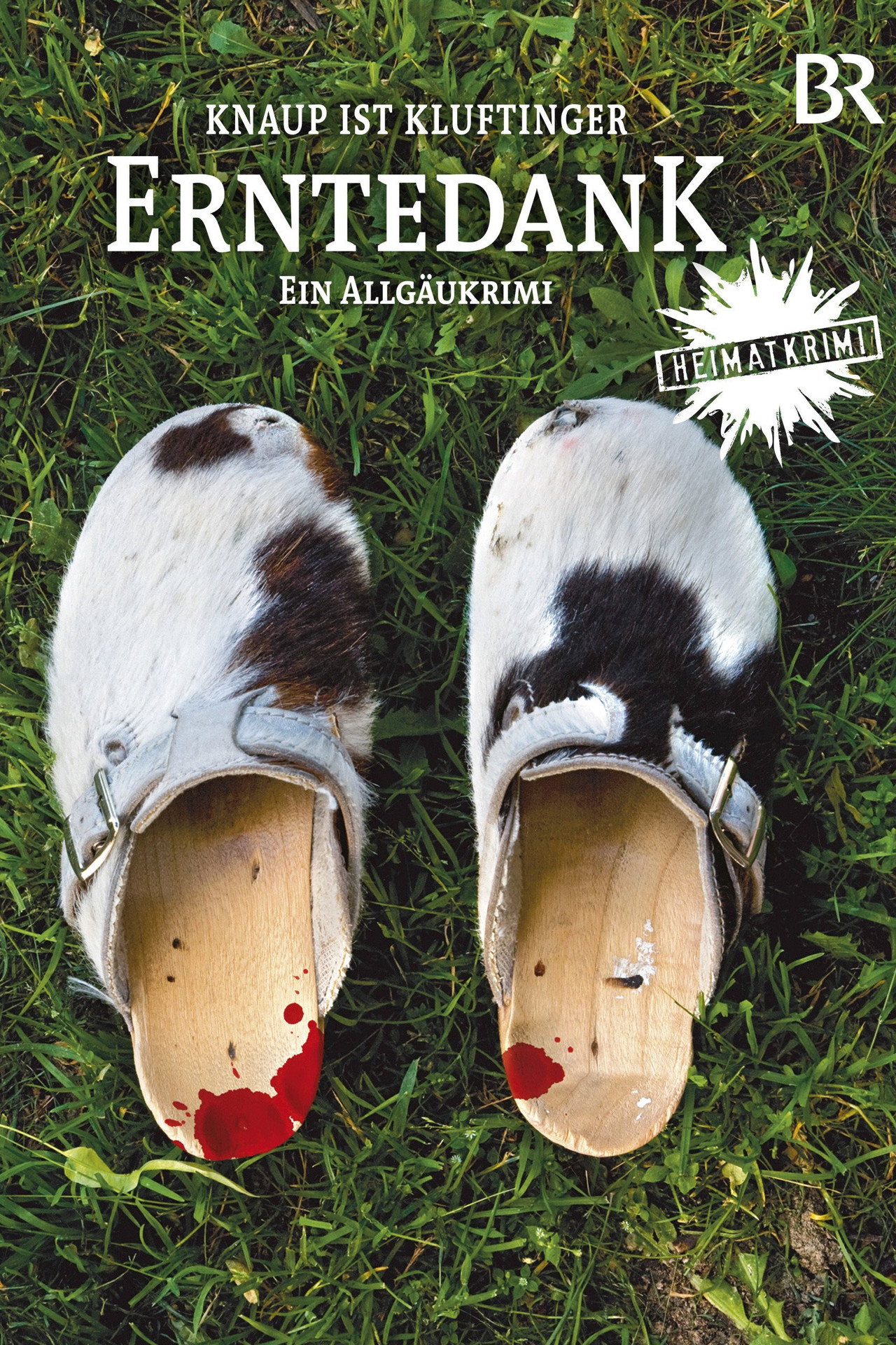 Pôster de Erntedank - Ein Allgäu-Krimi