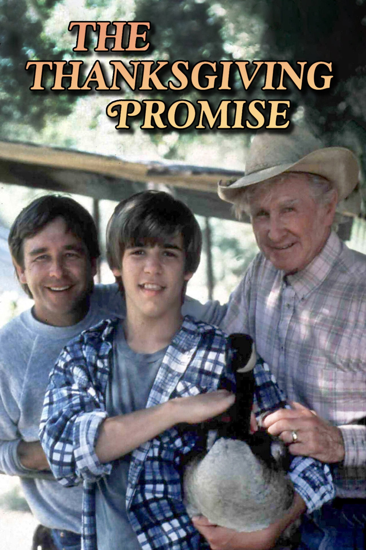 Pôster de The Thanksgiving Promise