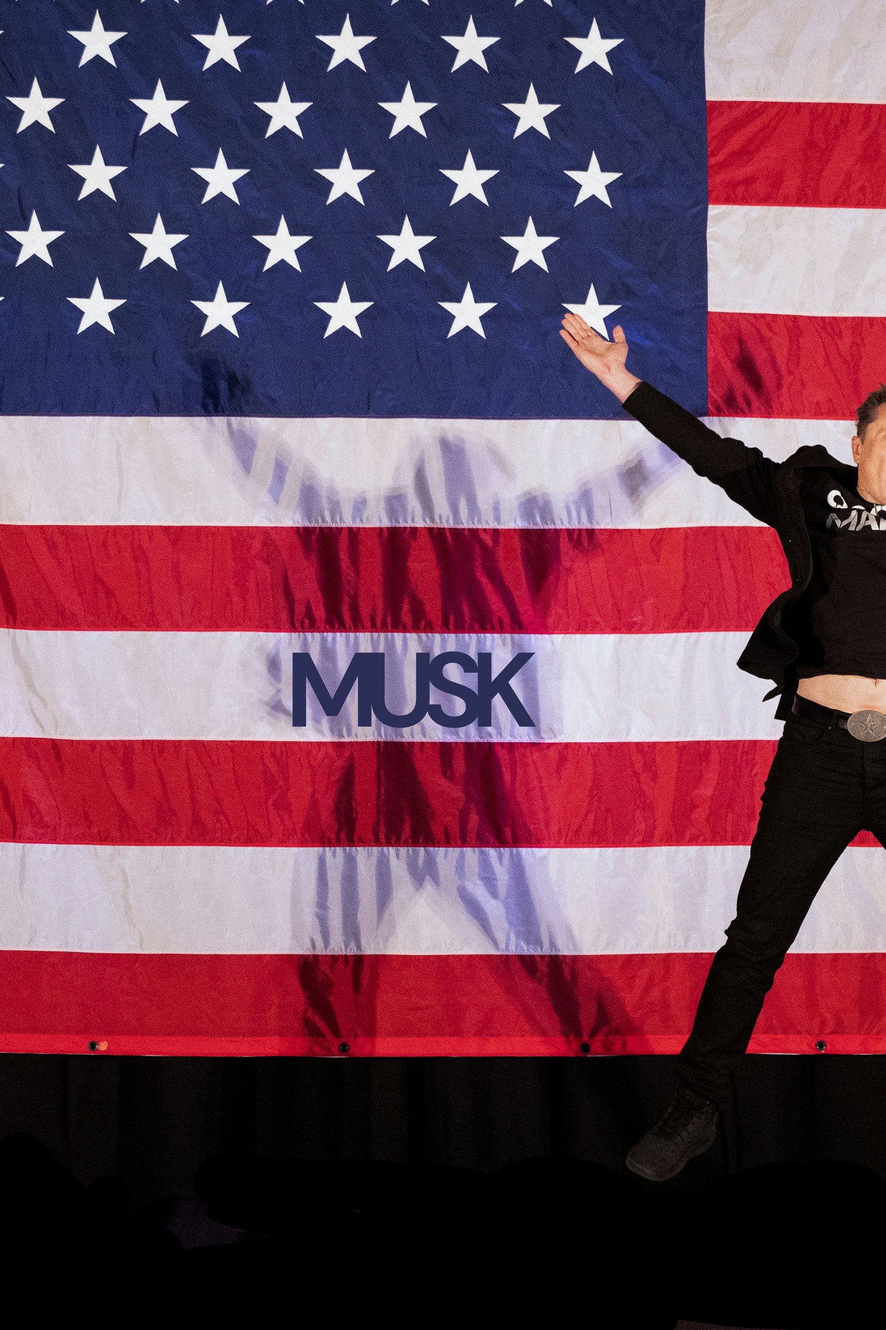 Pôster de Musk