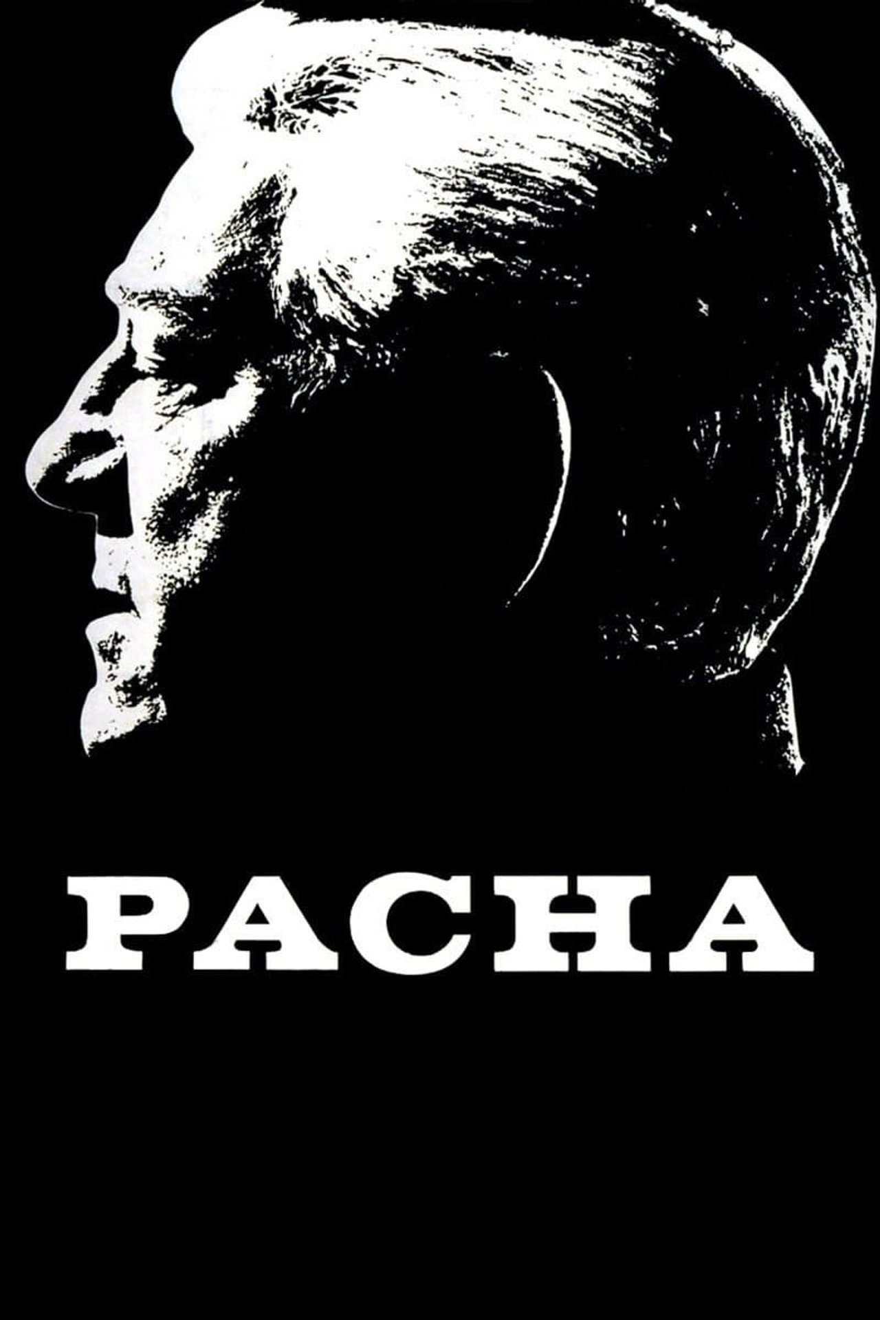Pôster de Pasha