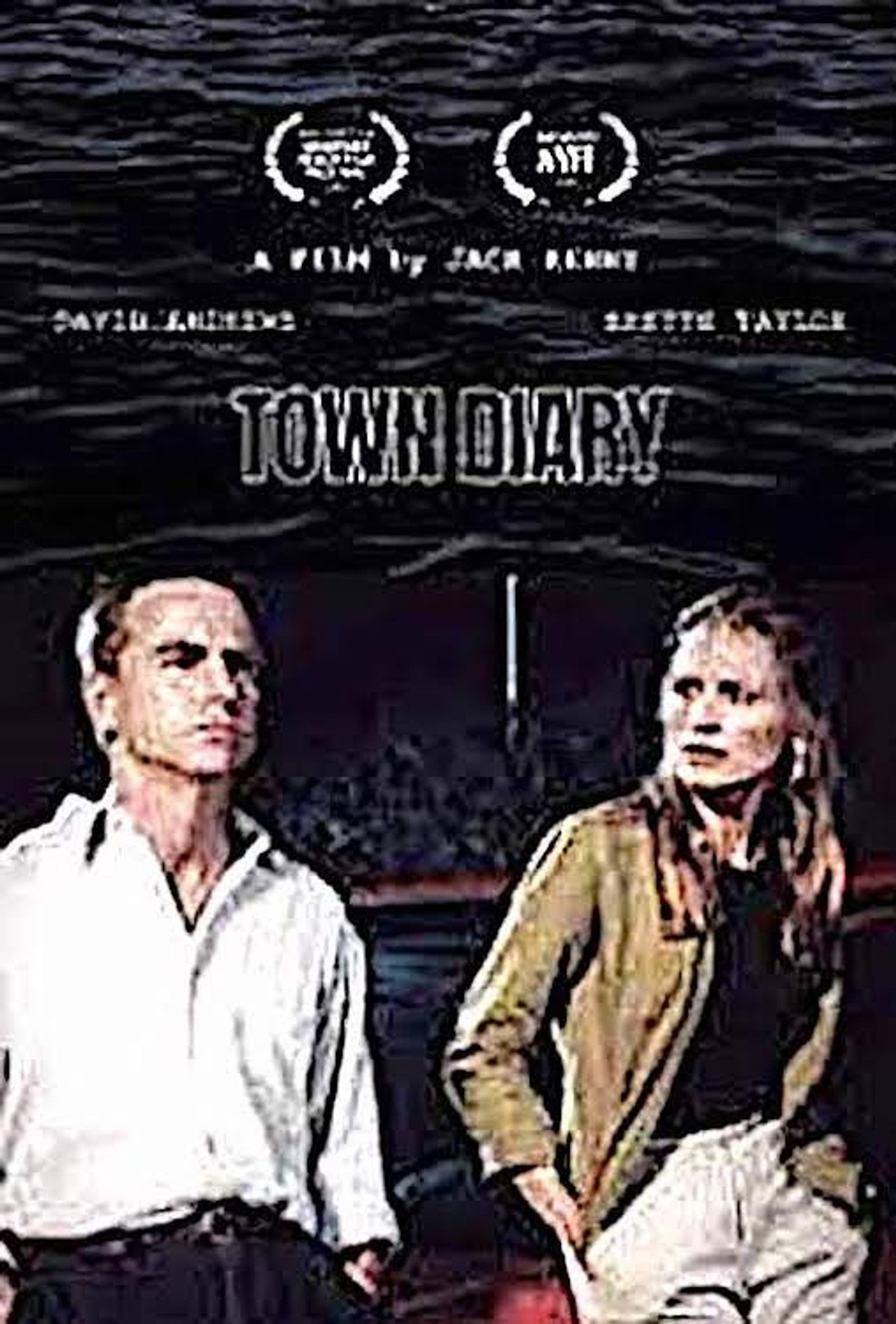 Pôster de Town Diary