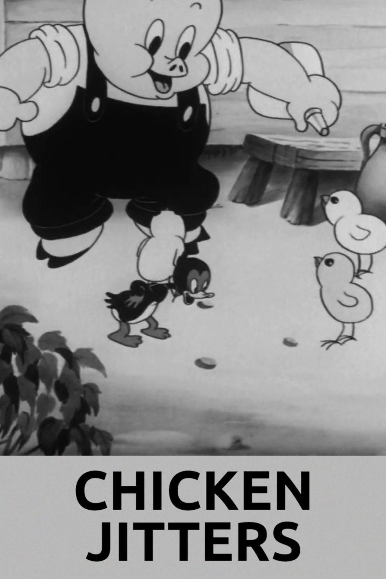 Pôster de Chicken Jitters