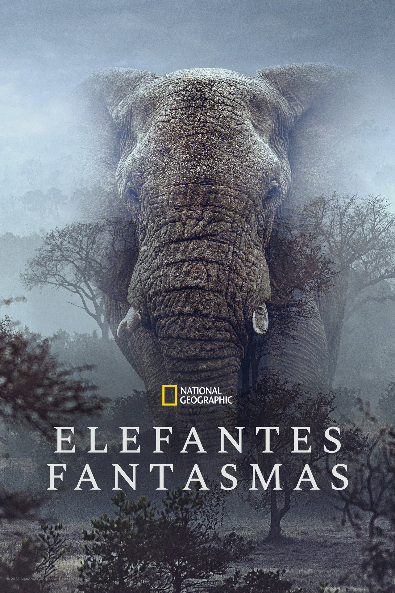 Pôster de Elefantes Fantasmas