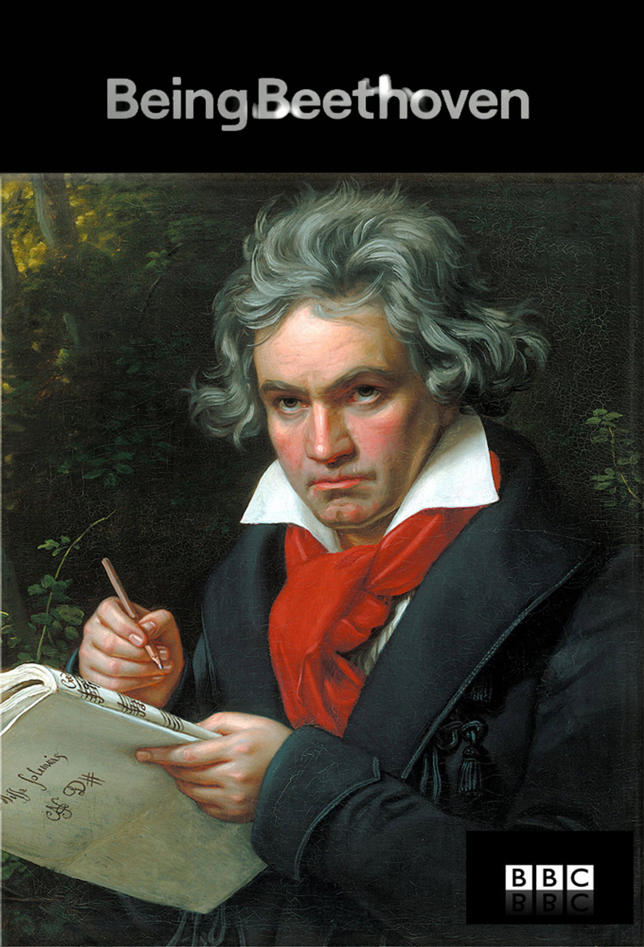 Pôster de Being Beethoven