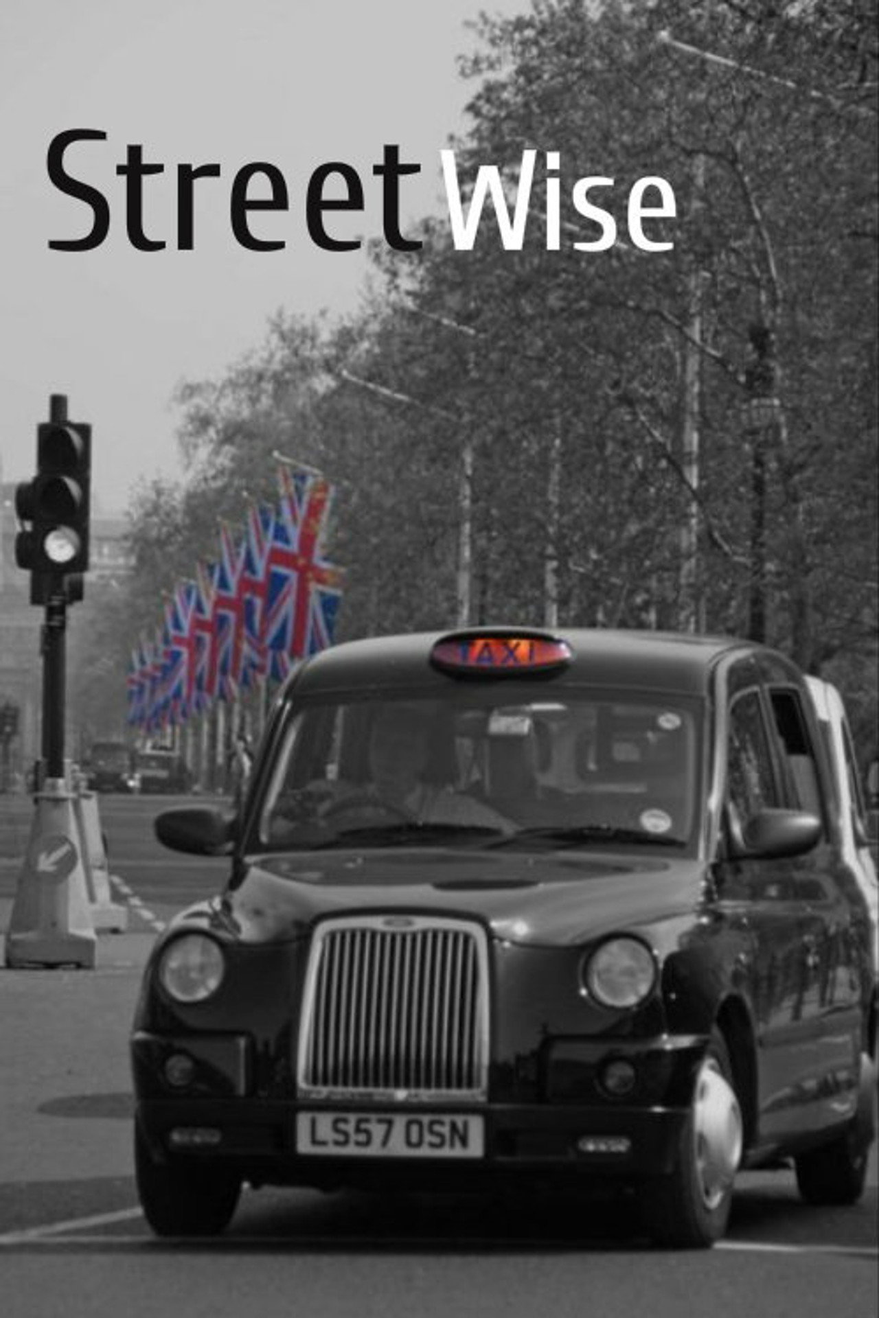 Pôster de Streetwise