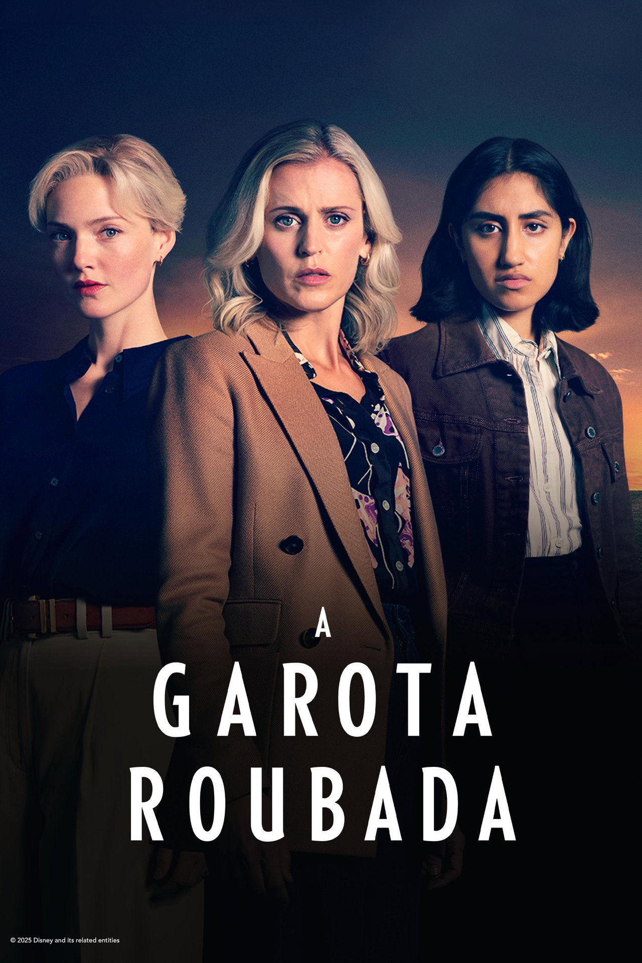 Pôster de A Garota Roubada
