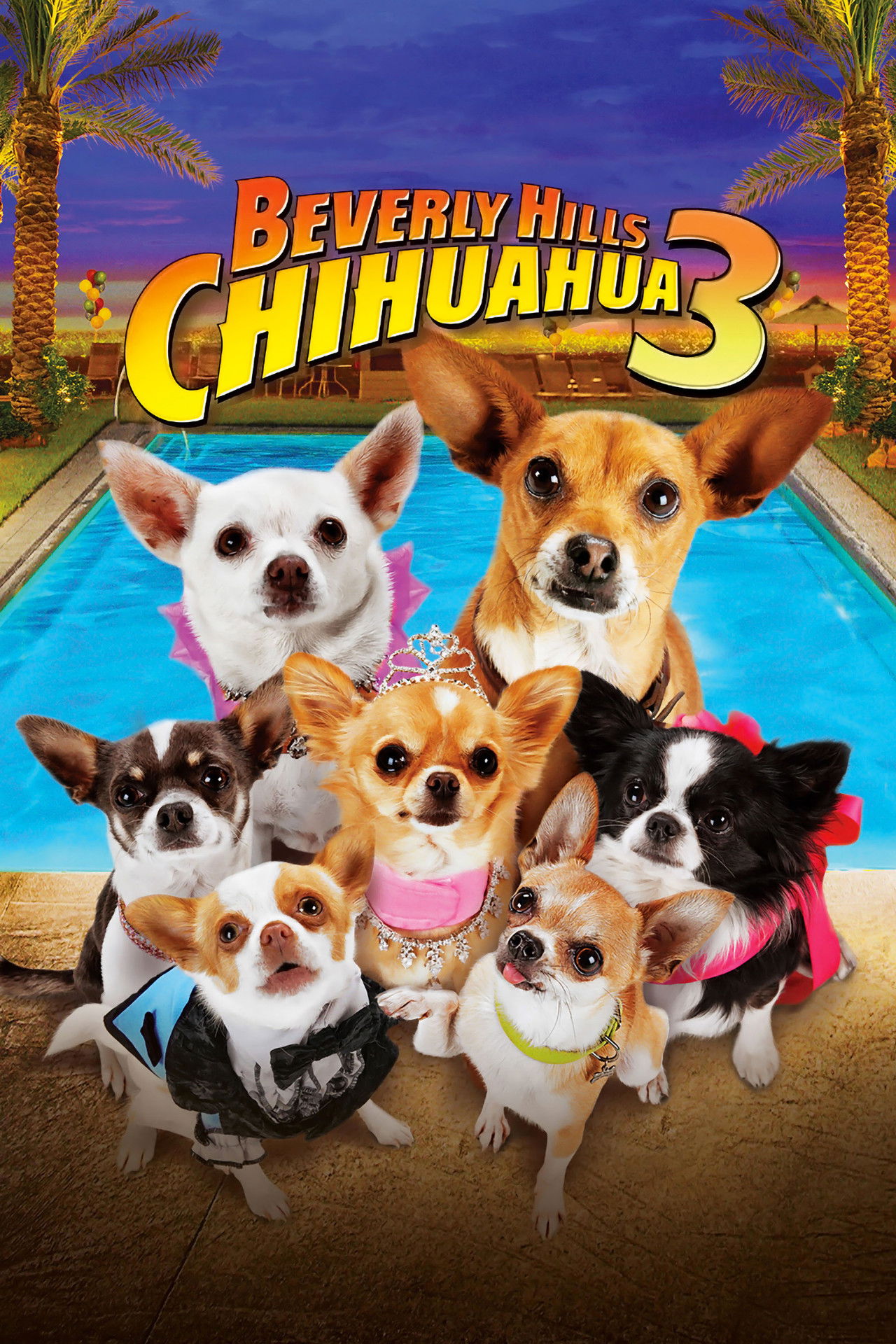 Pôster de Beverly Hills Chihuahua 3: Viva la Fiesta!