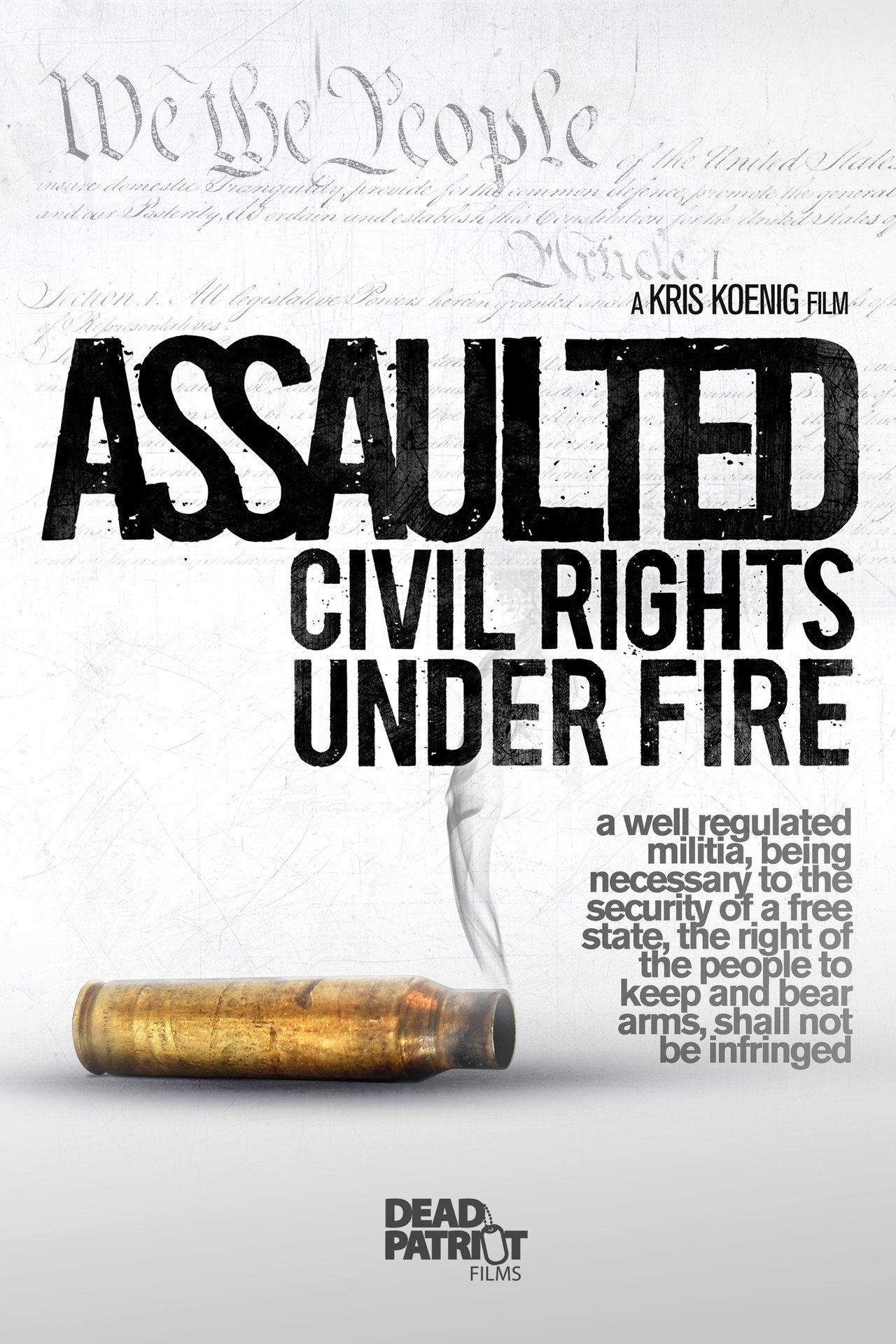 Pôster de Assaulted: Civil Rights Under Fire