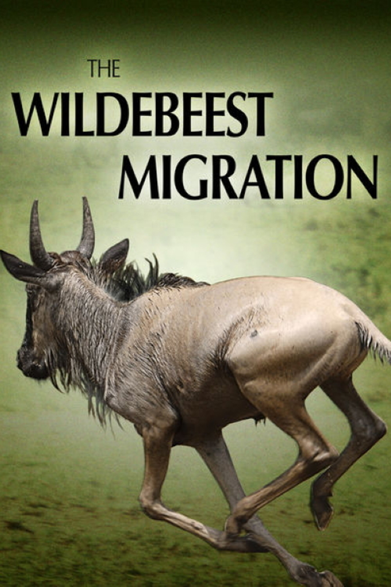 Pôster de The Wildebeest Migration: Nature's Greatest Journey