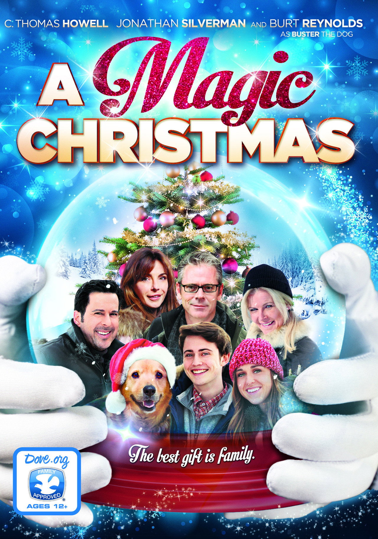 Pôster de A Magic Christmas