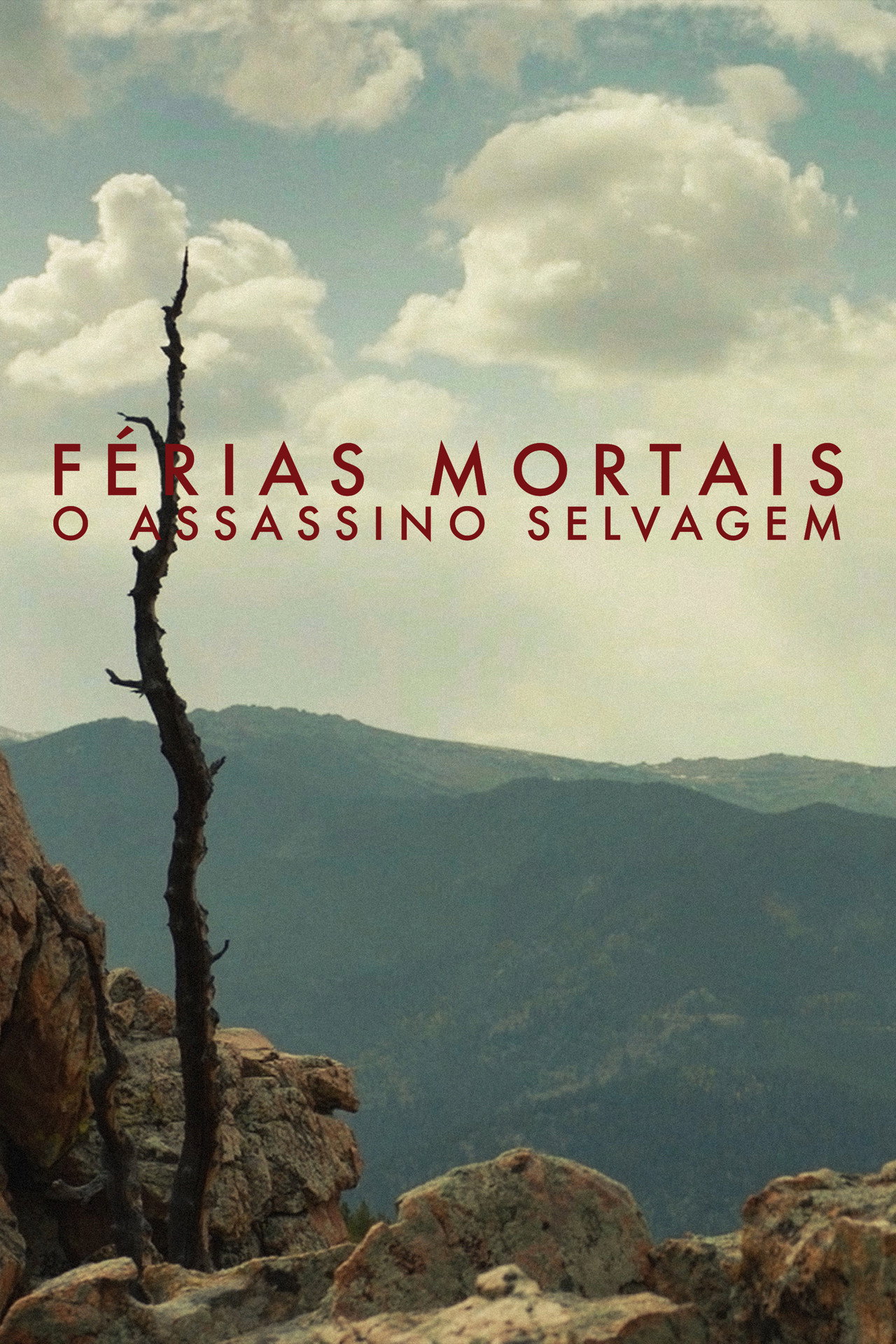 Pôster de Férias Mortais: O Assassino Selvagem