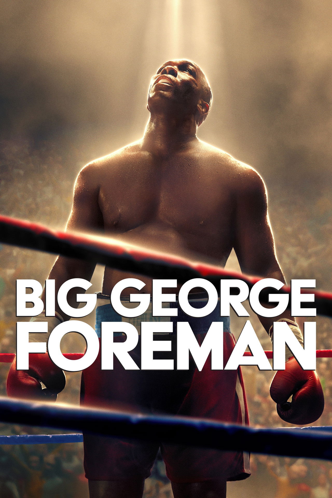 Pôster de Big George Foreman