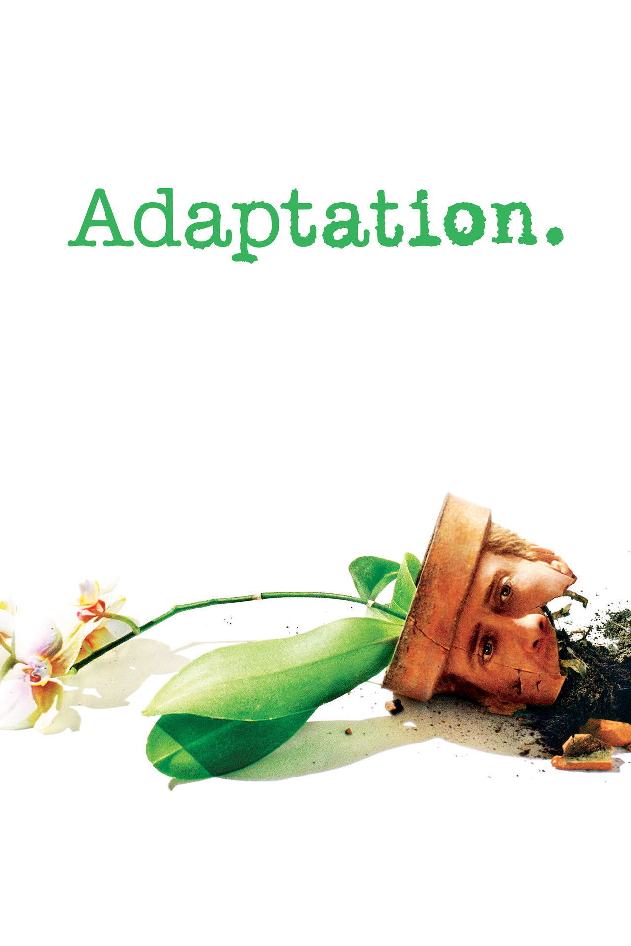 Pôster de Adaptation.