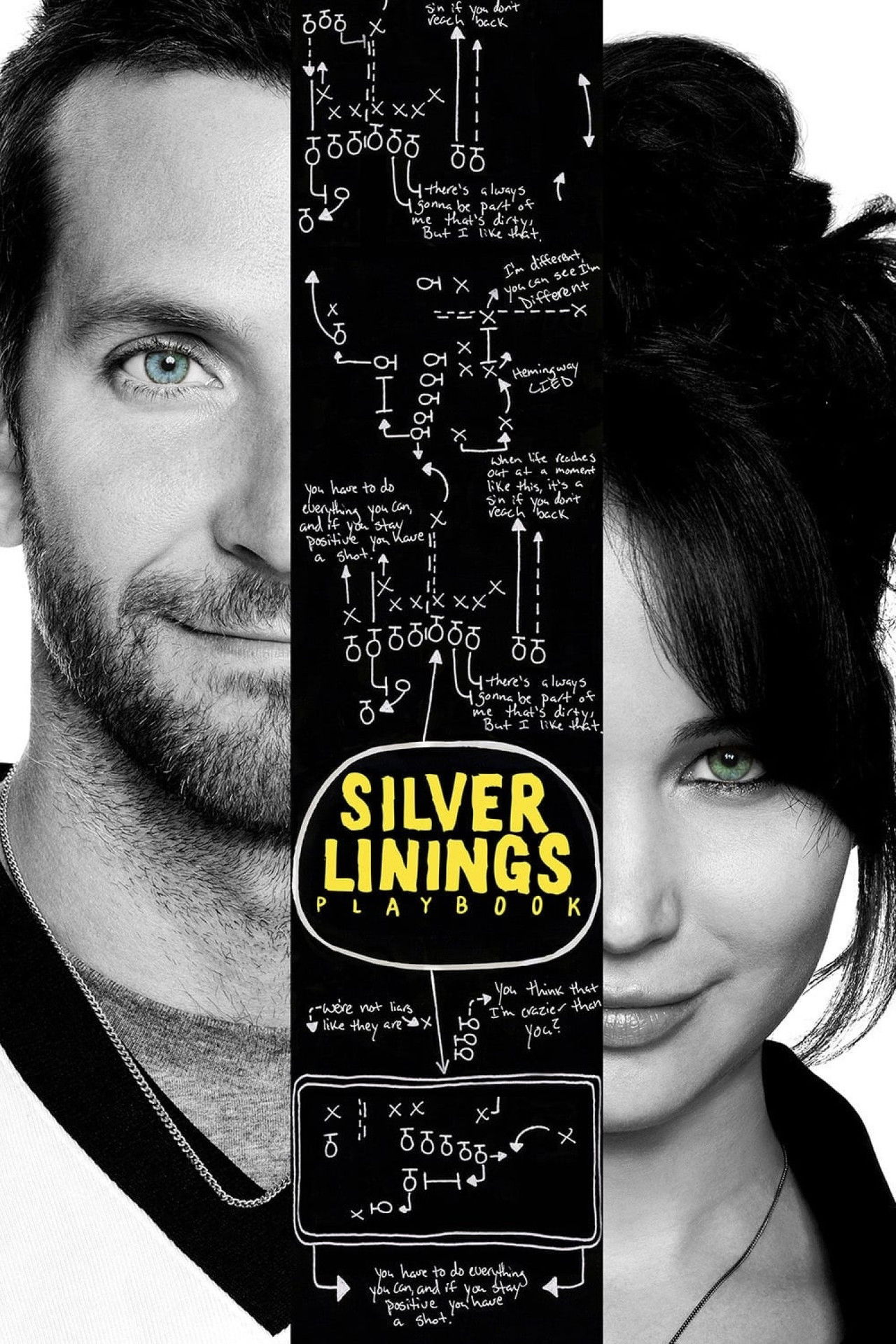 Pôster de Silver Linings Playbook