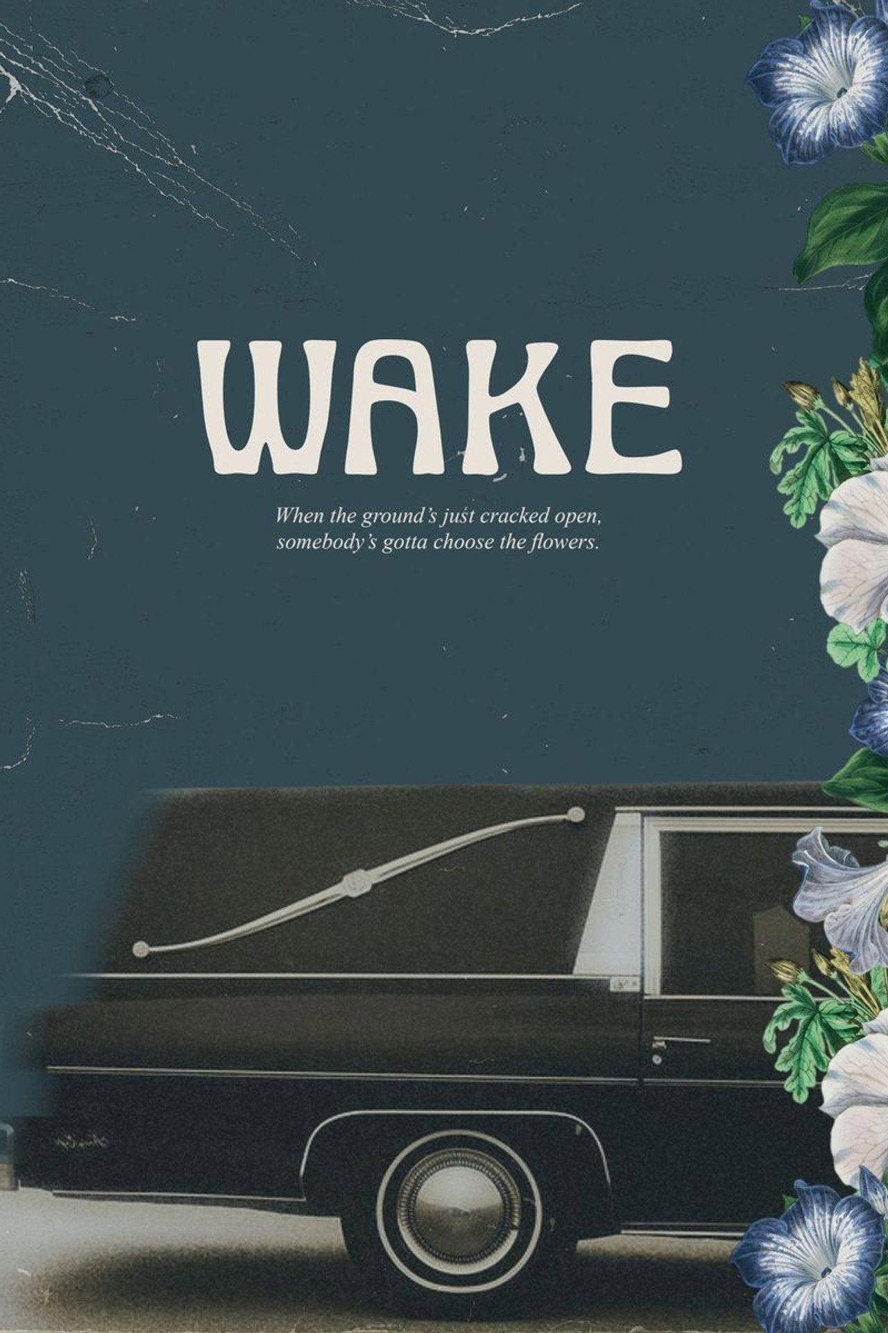 Pôster de Wake