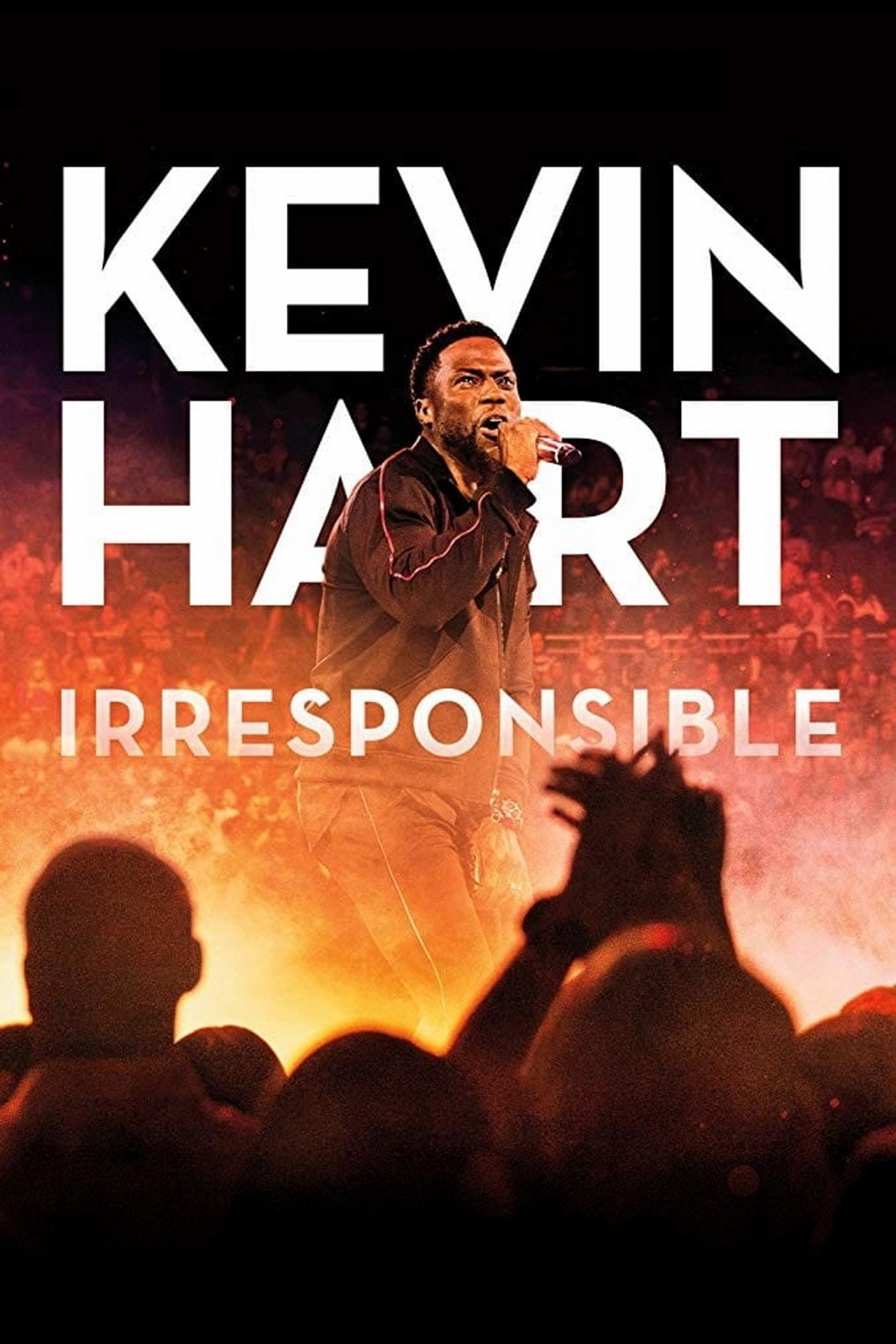 Pôster de Kevin Hart: Irresponsible