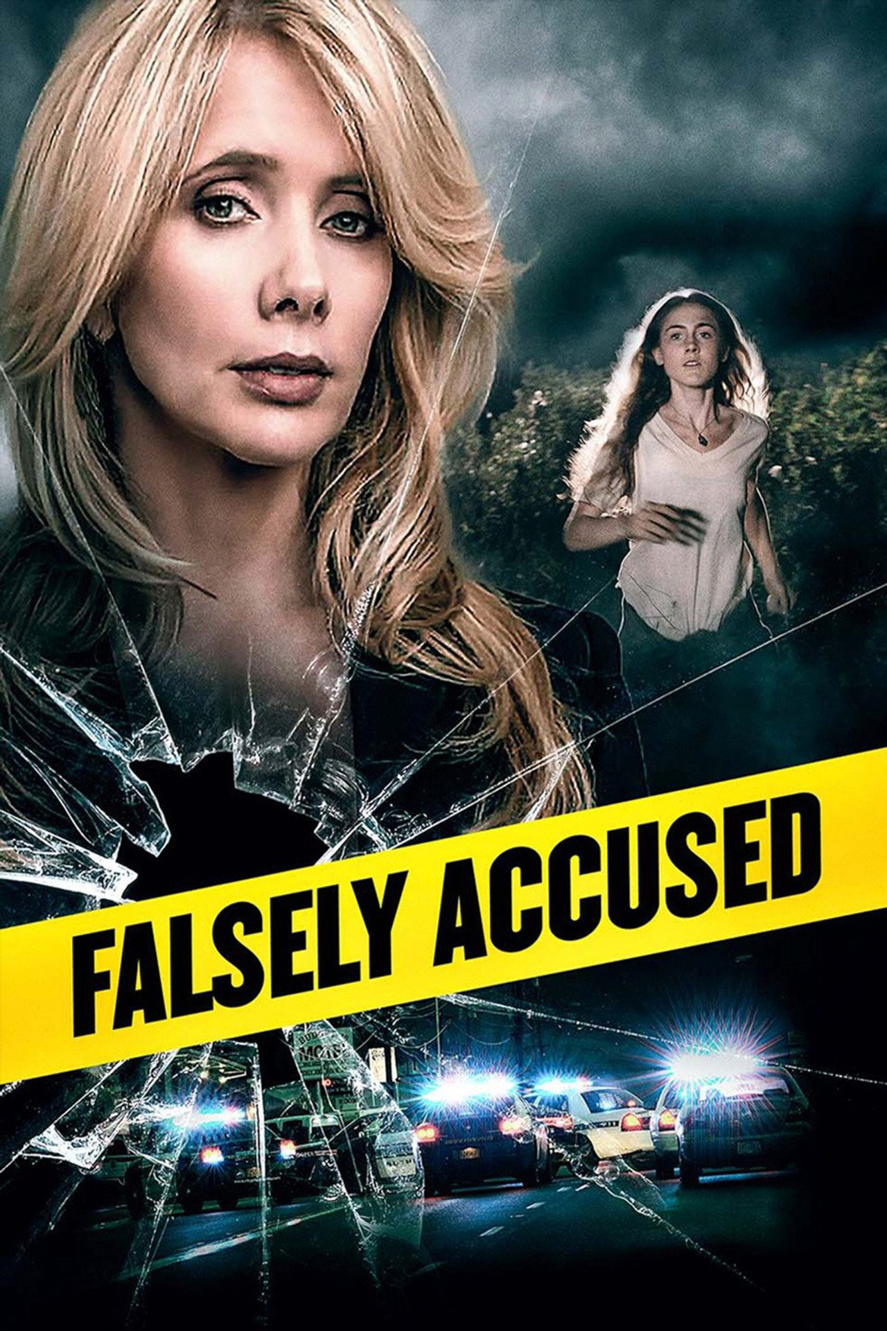 Pôster de Falsely Accused
