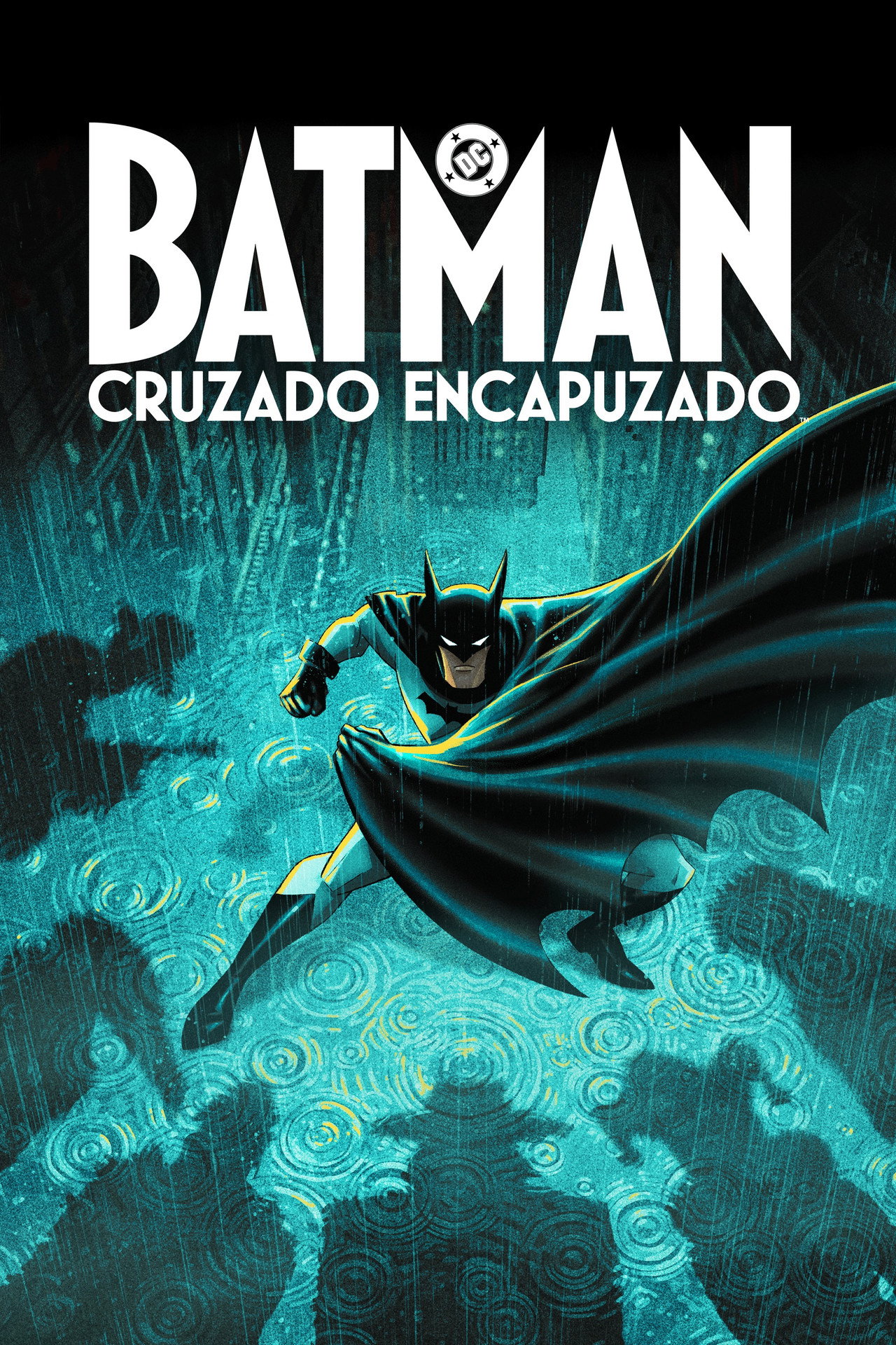 Pôster de Batman: Cruzado Encapuzado