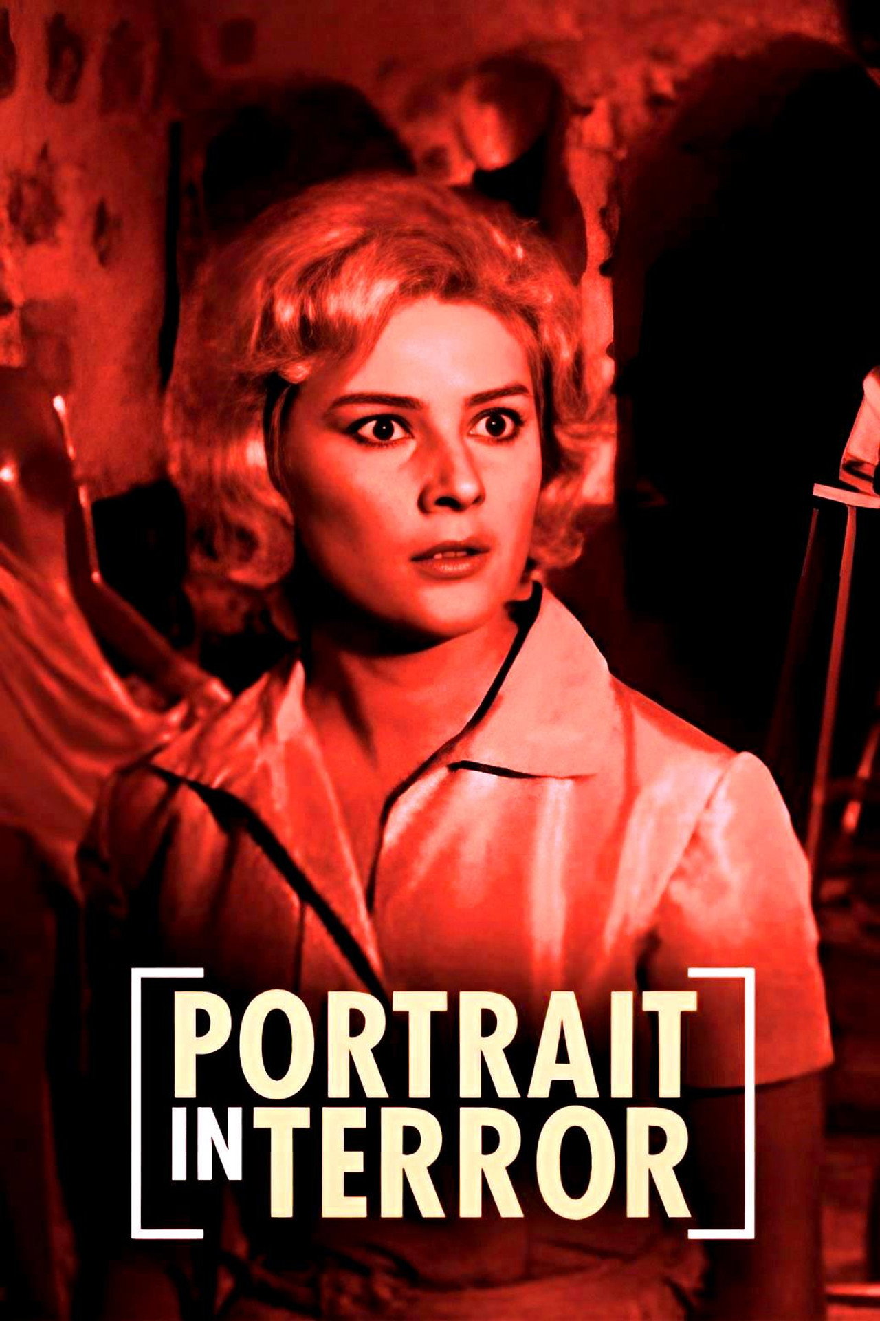 Pôster de Portrait in Terror