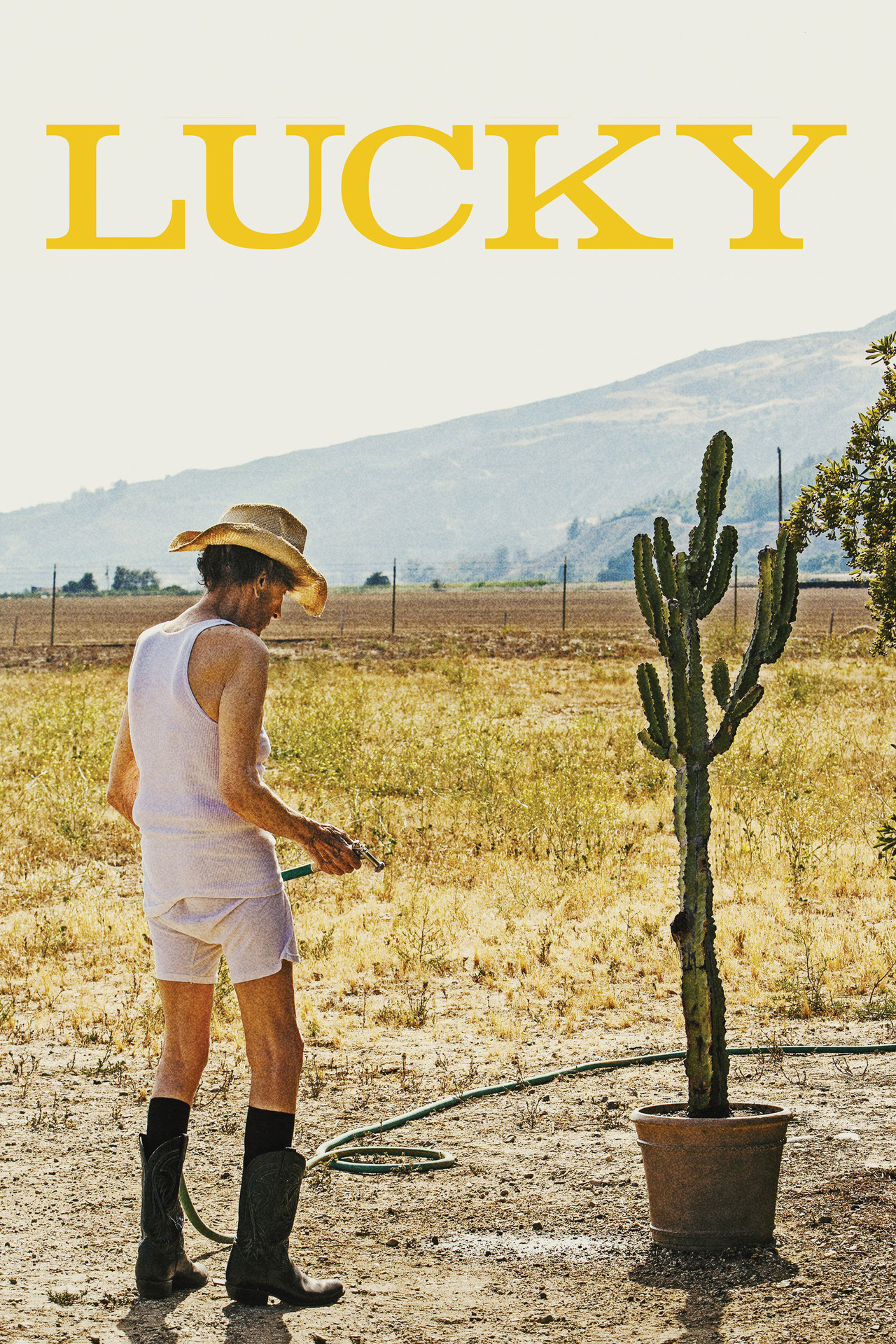Pôster de Lucky