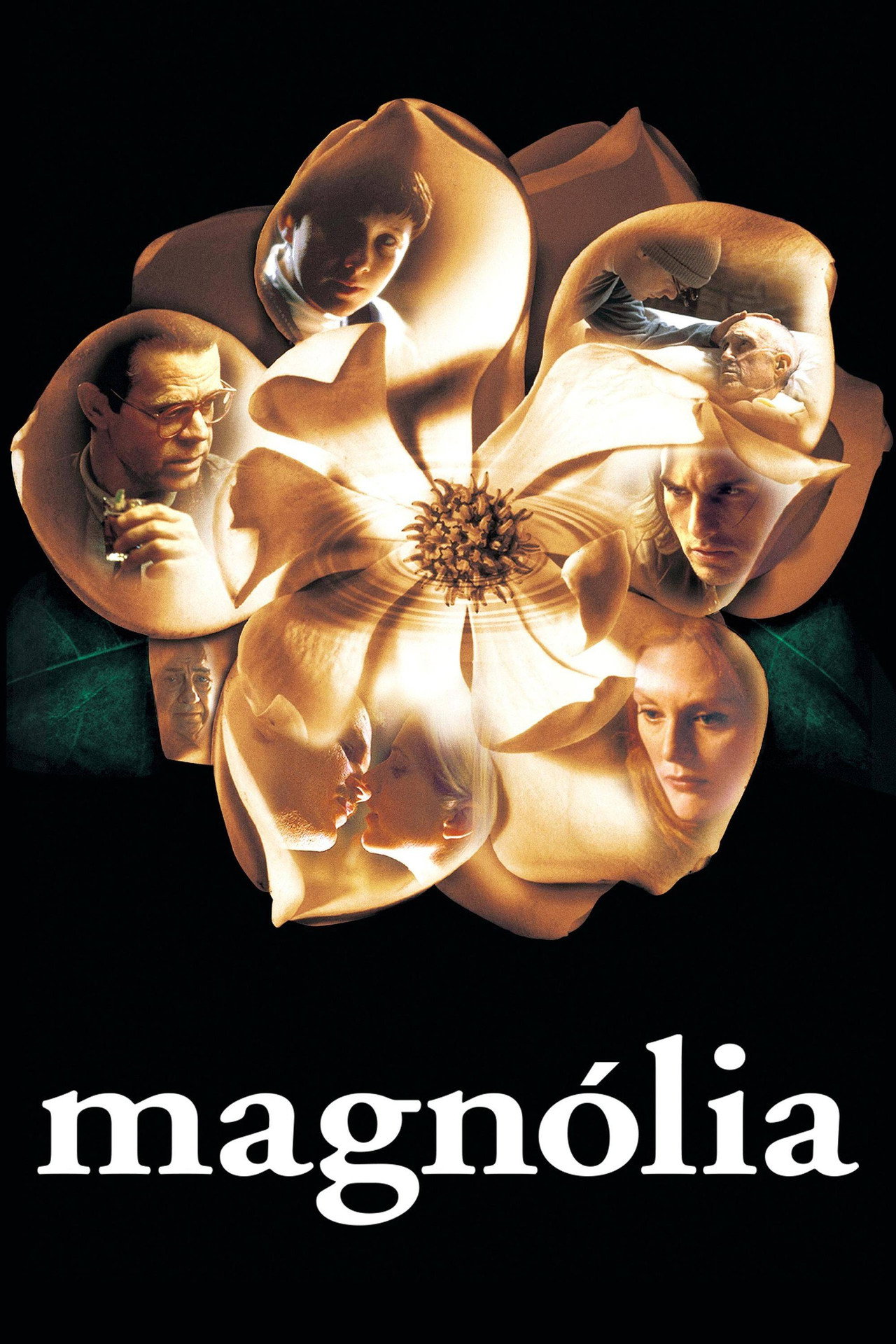 Pôster de Magnólia