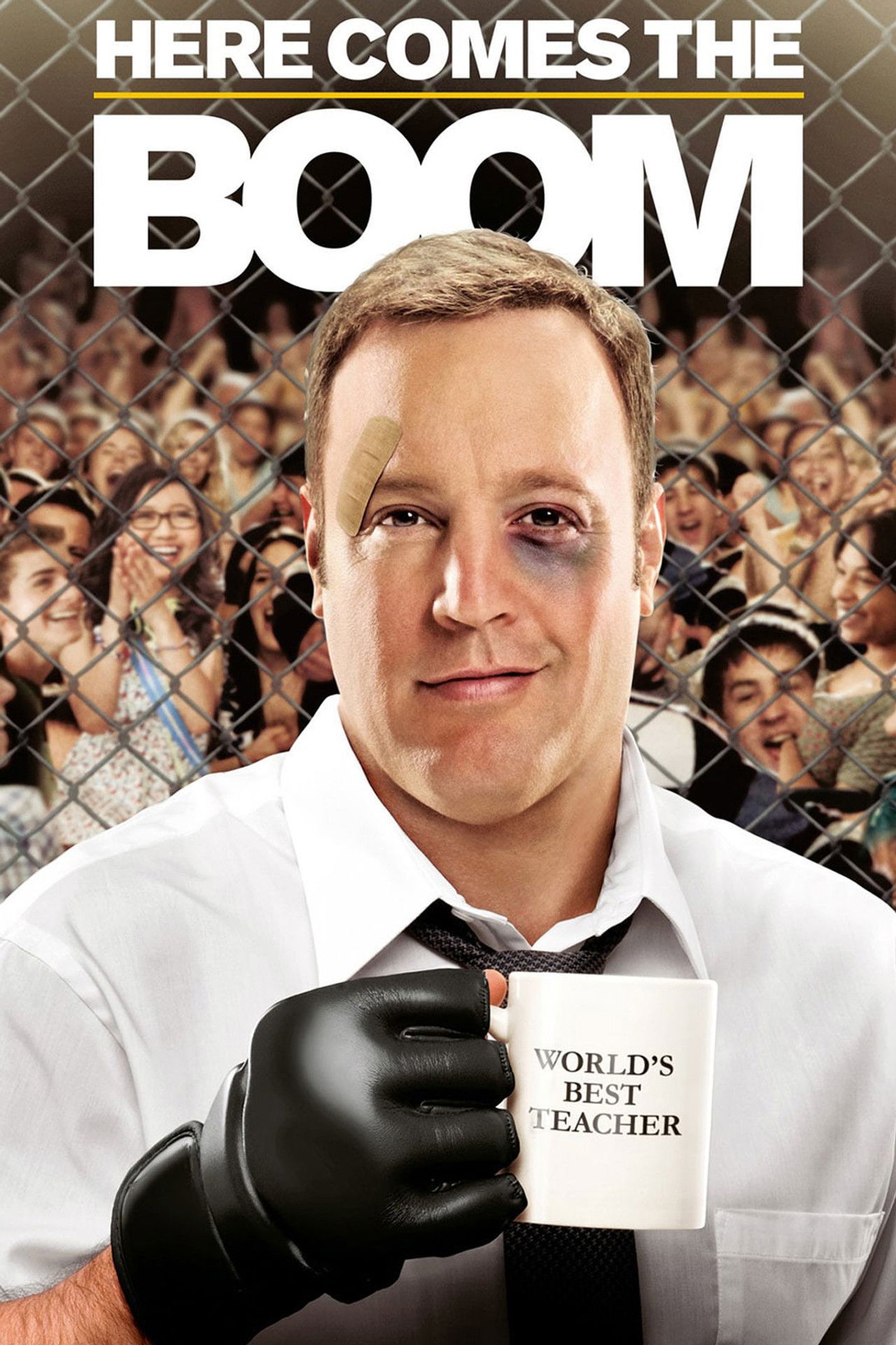 Pôster de Here Comes the Boom