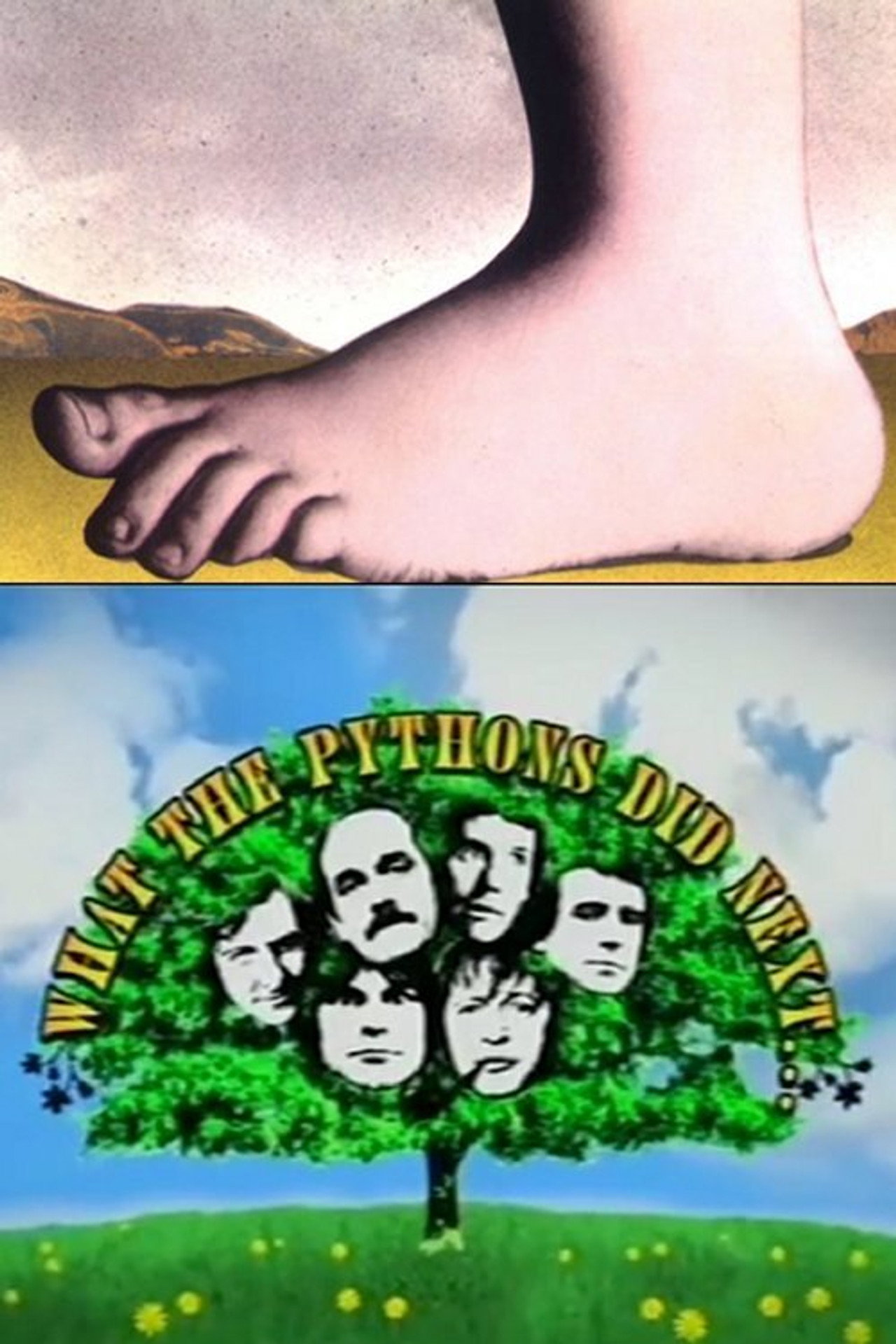 Pôster de What the Pythons Did Next...