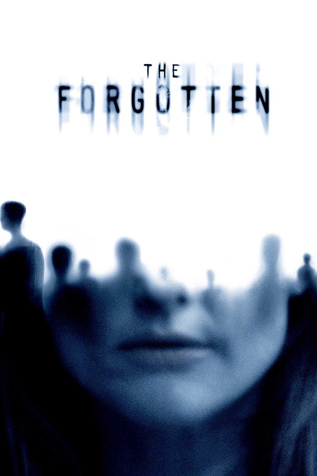 Pôster de The Forgotten