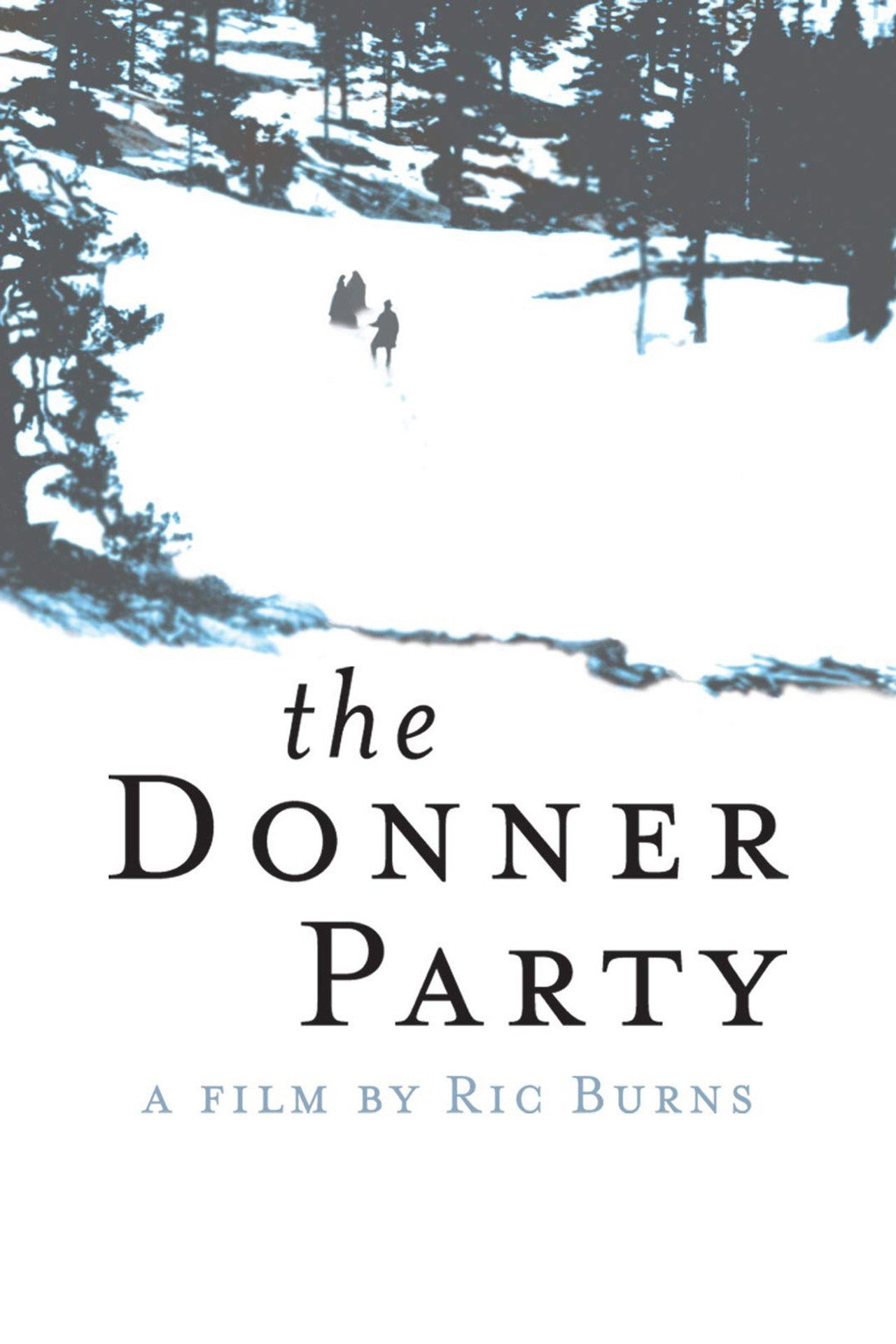 Pôster de The Donner Party