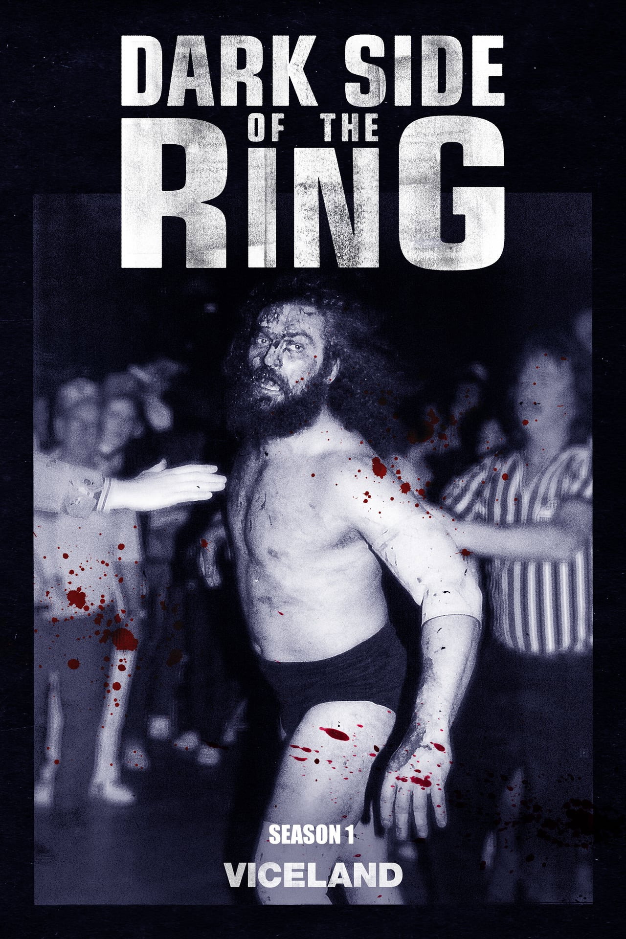 Pôster de Dark Side of the Ring
