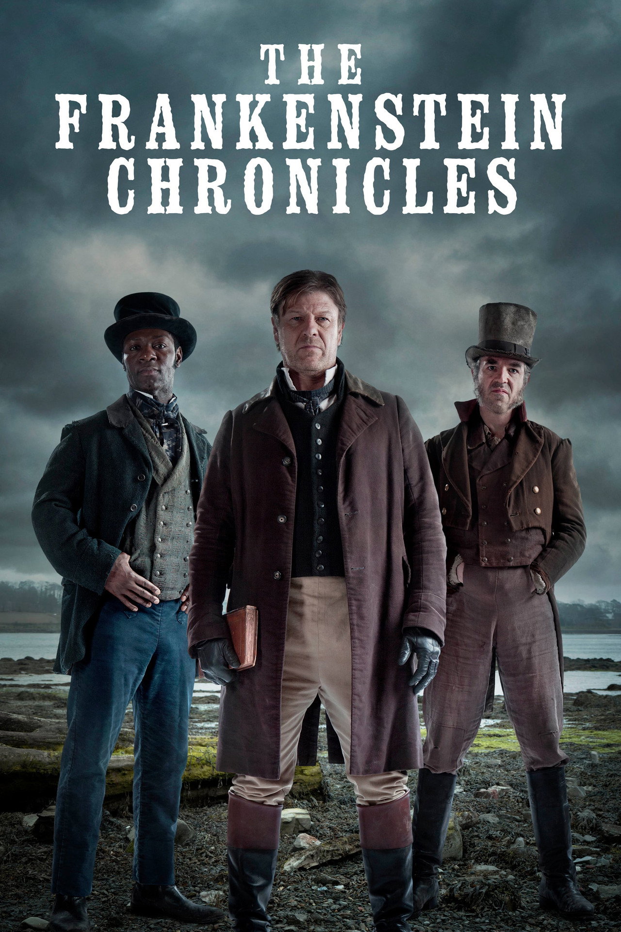 Pôster de The Frankenstein Chronicles