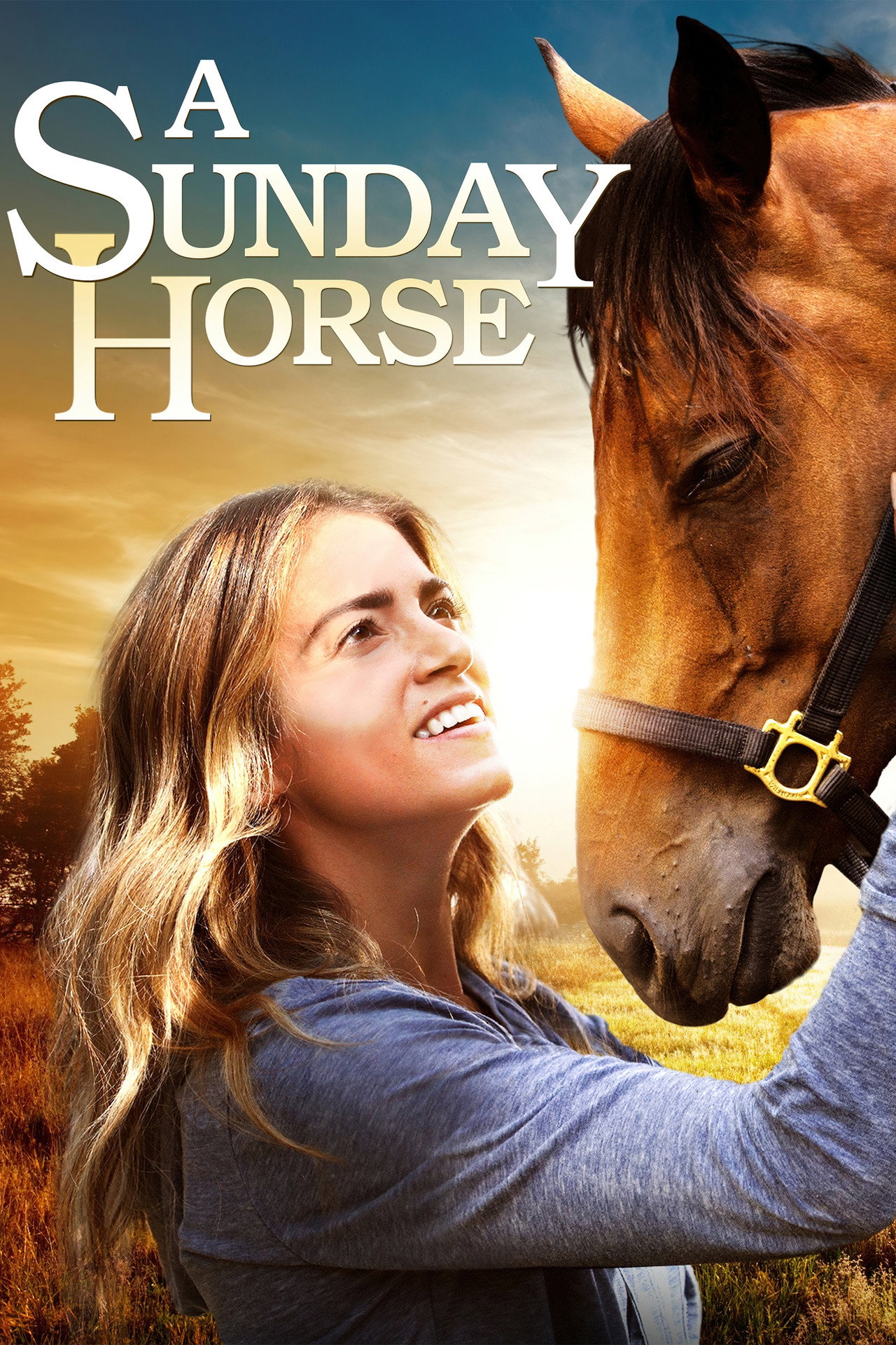Pôster de A Sunday Horse