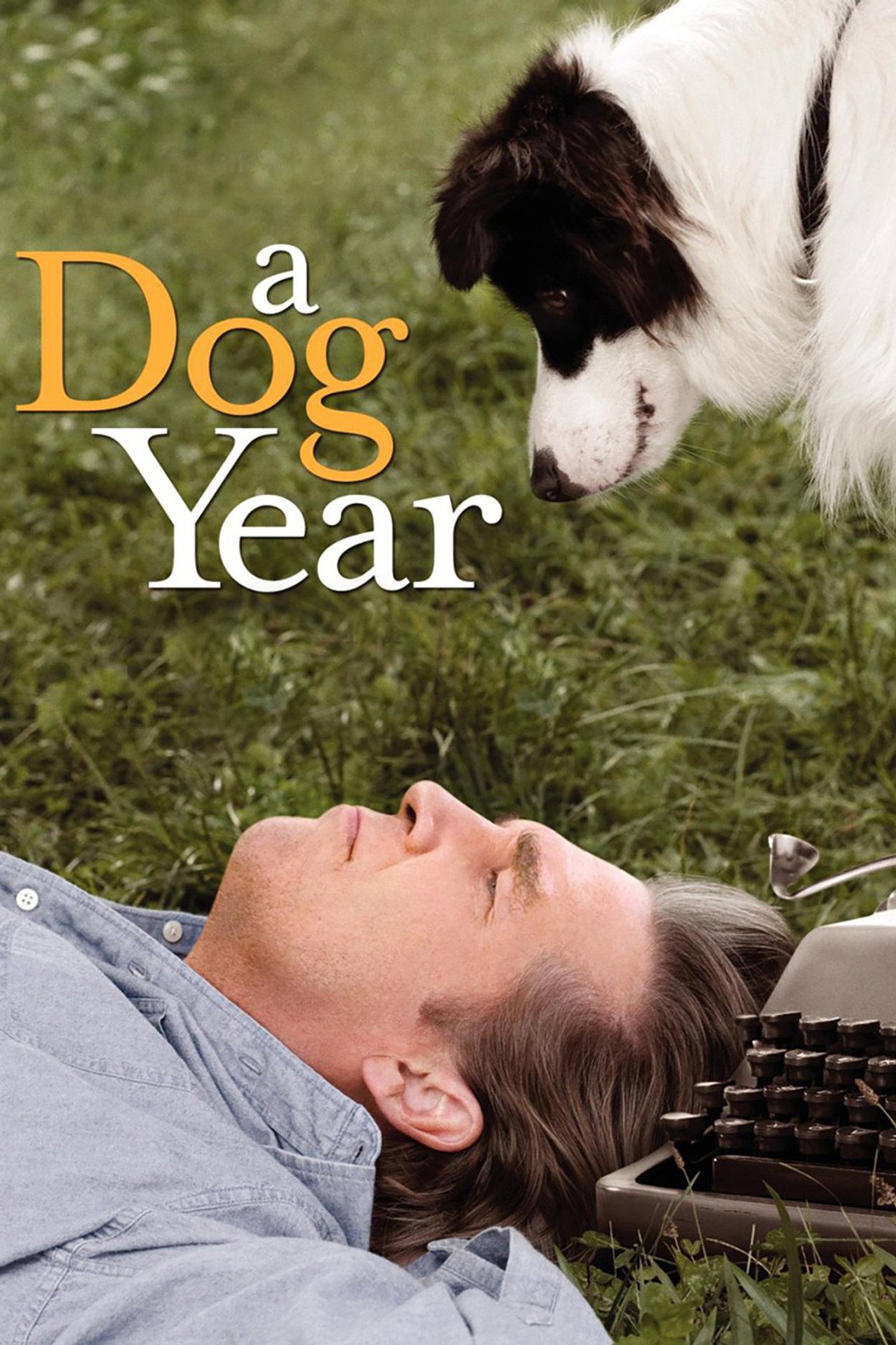 Pôster de A Dog Year