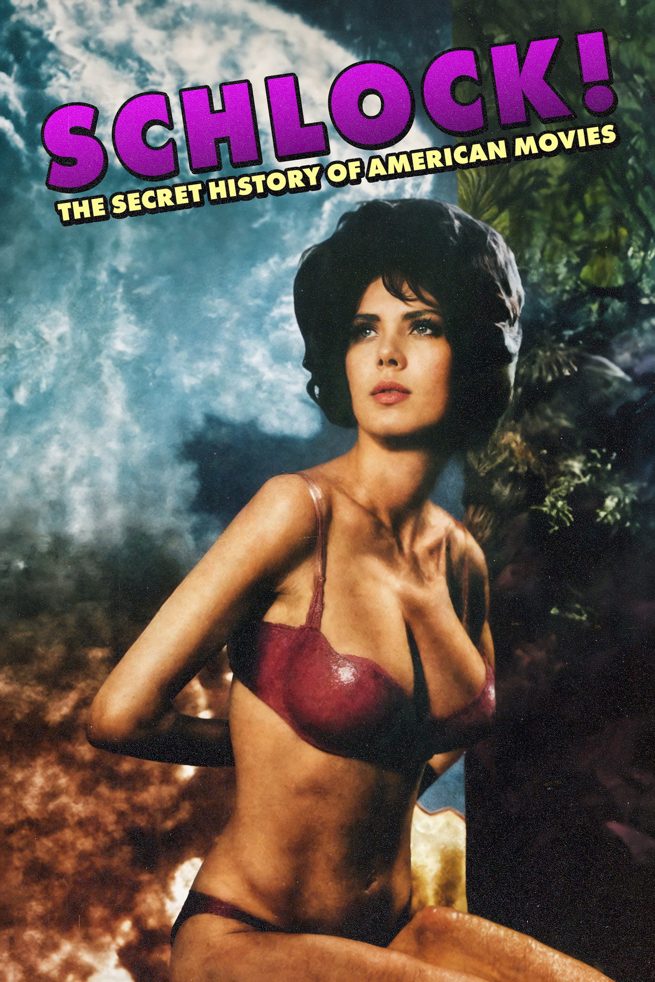 Pôster de Schlock! The Secret History of American Movies