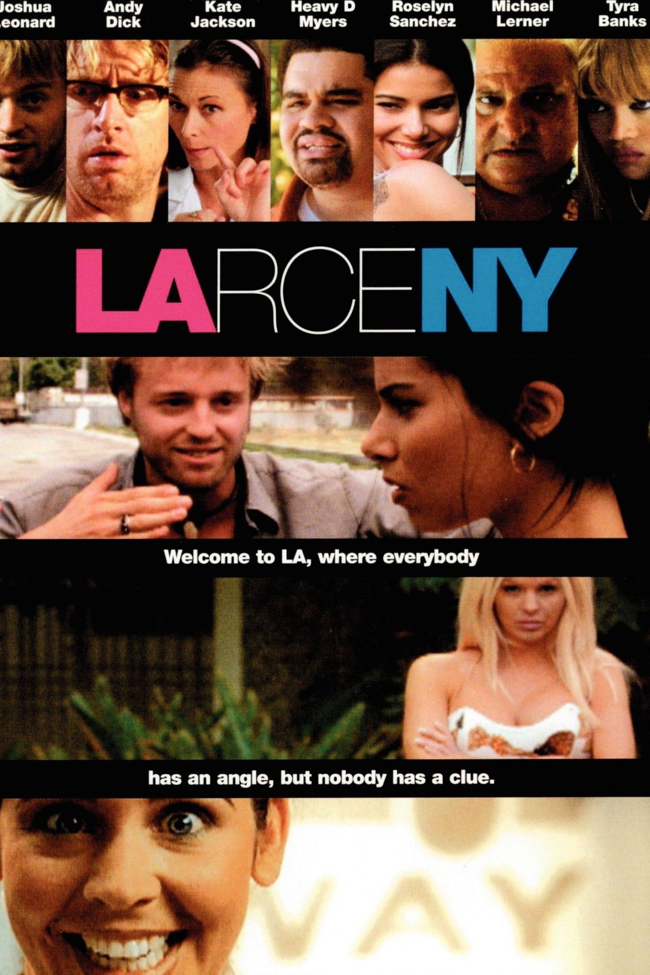 Pôster de LArceny