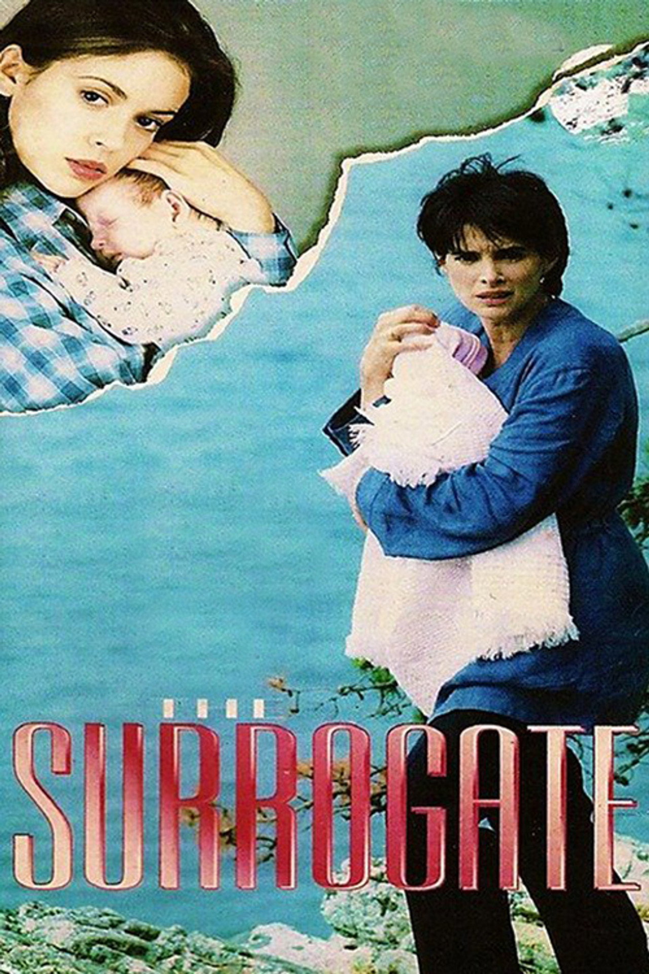 Pôster de The Surrogate