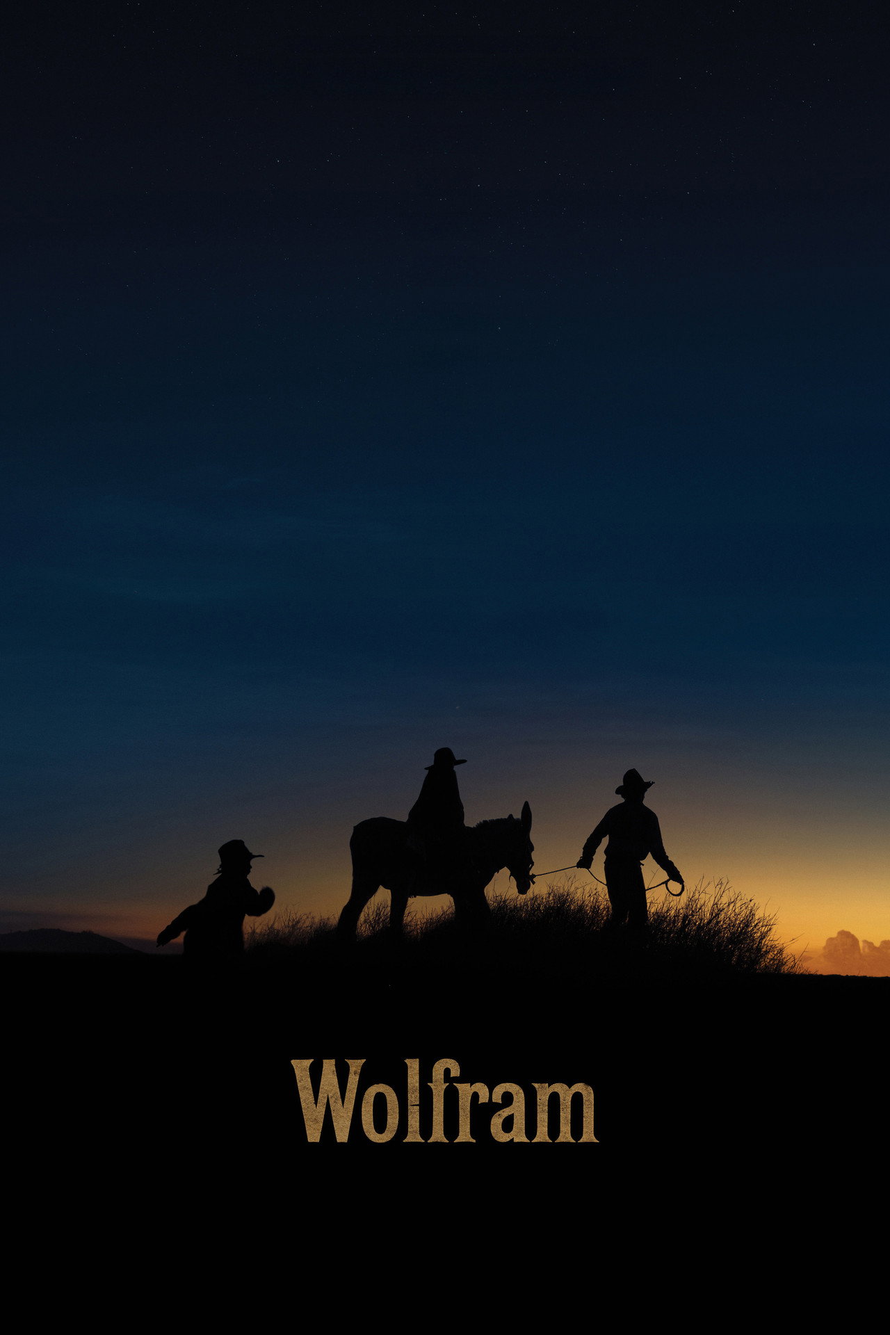 Pôster de Wolfram