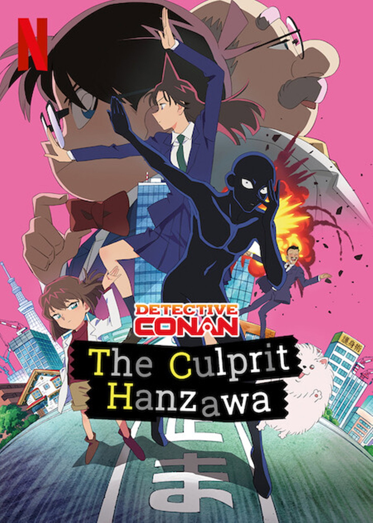 Pôster de Detetive Conan: Hanzawa, o Culpado
