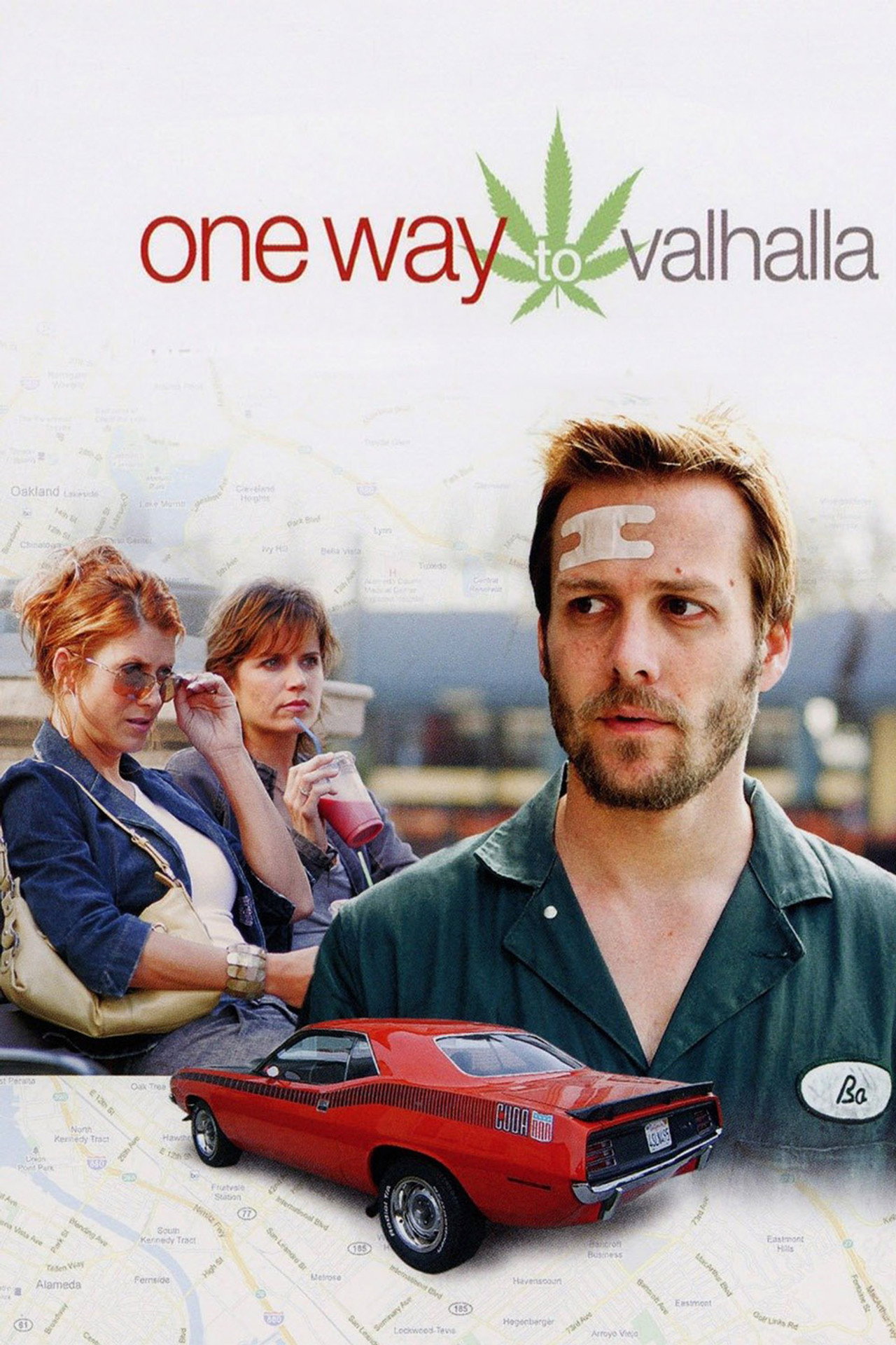 Pôster de One Way to Valhalla