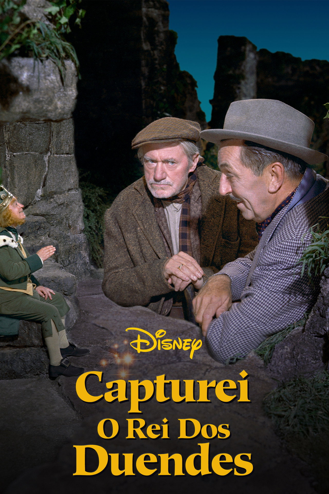 Pôster de Capturei o Rei dos Duendes