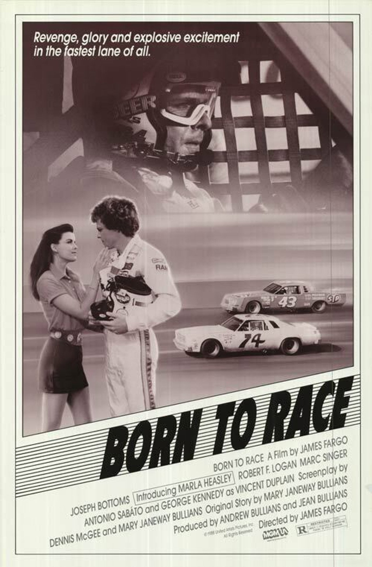 Pôster de Born to Race