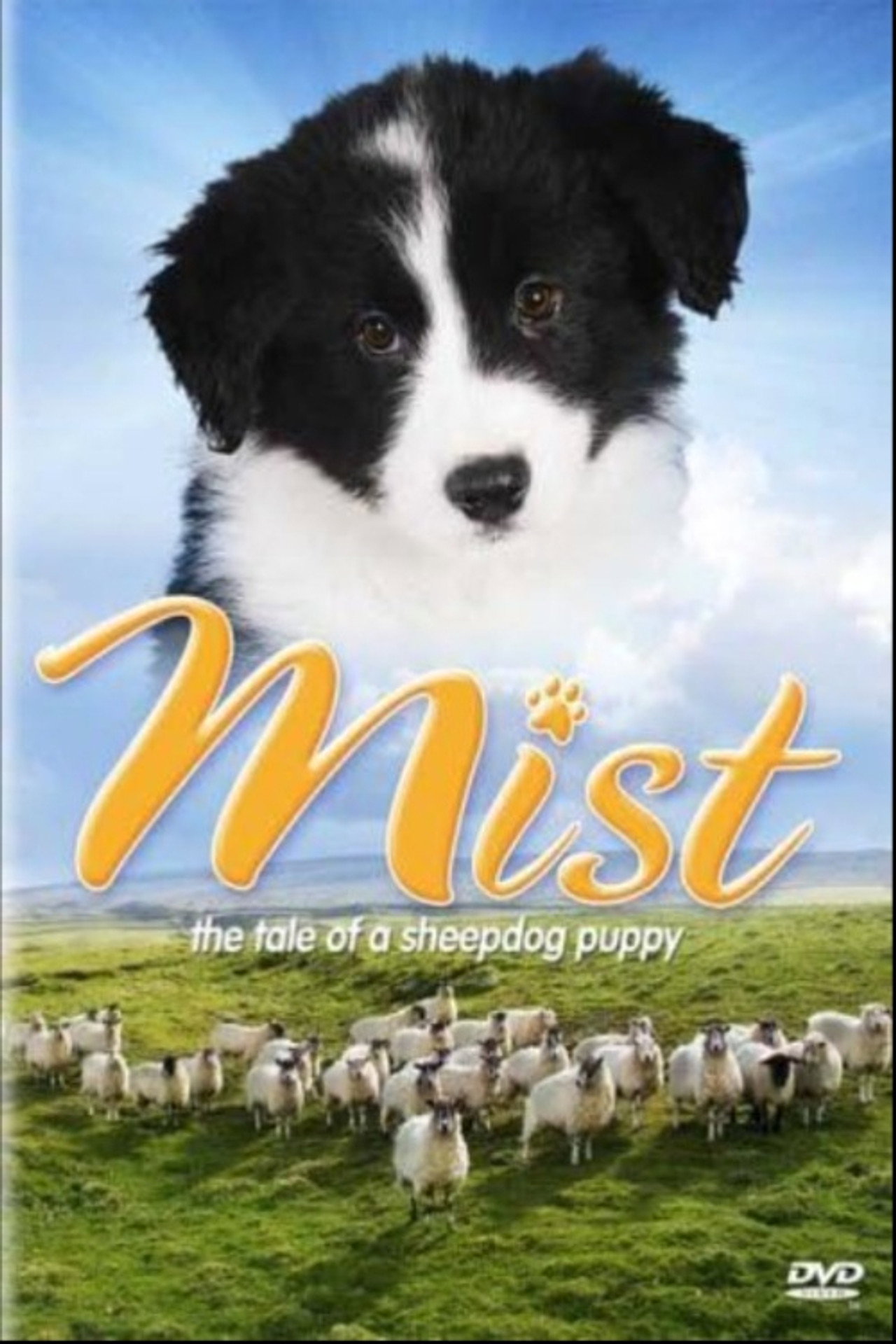 Pôster de Mist: The Tale of a Sheepdog Puppy