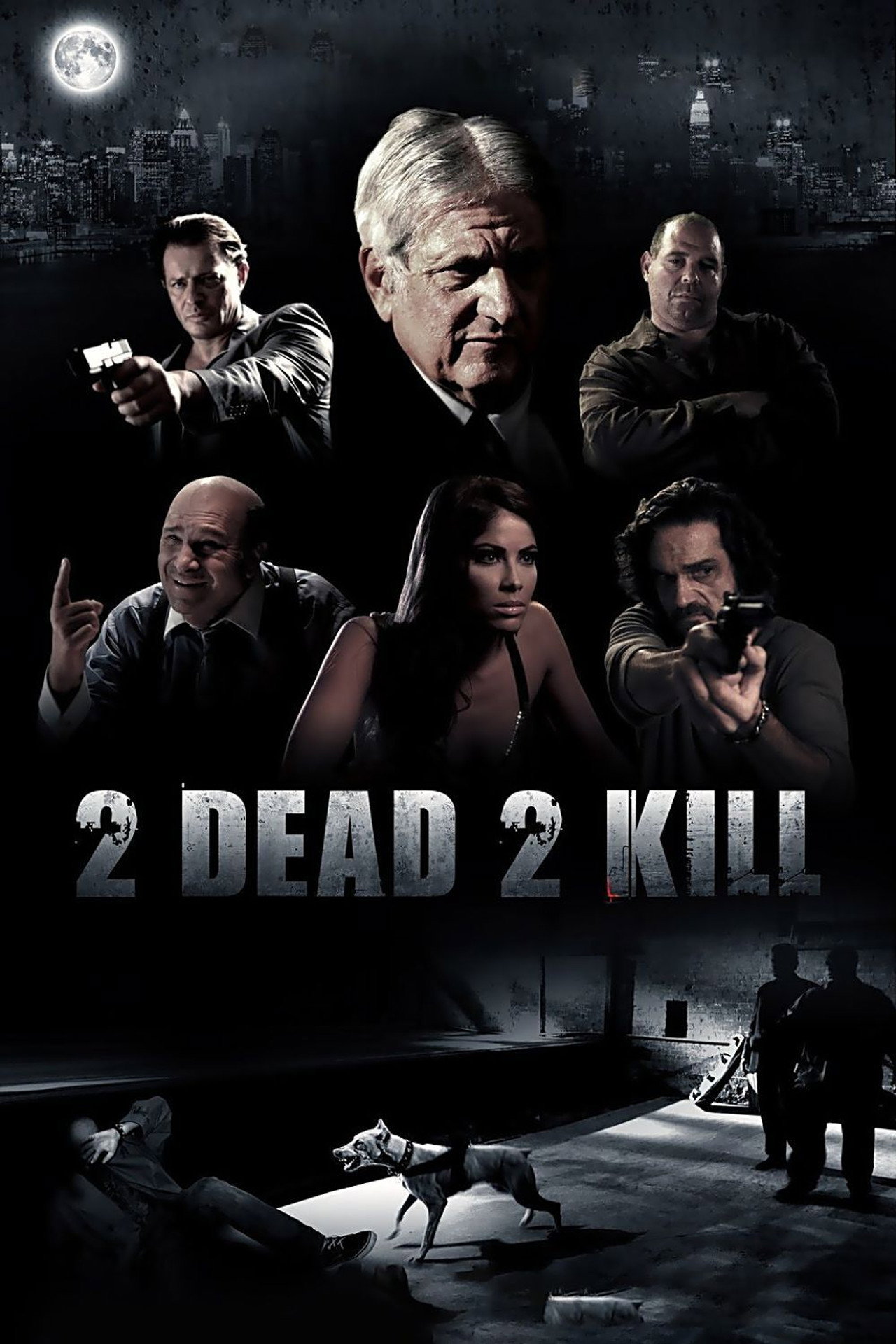 Pôster de 2 Dead 2 Kill
