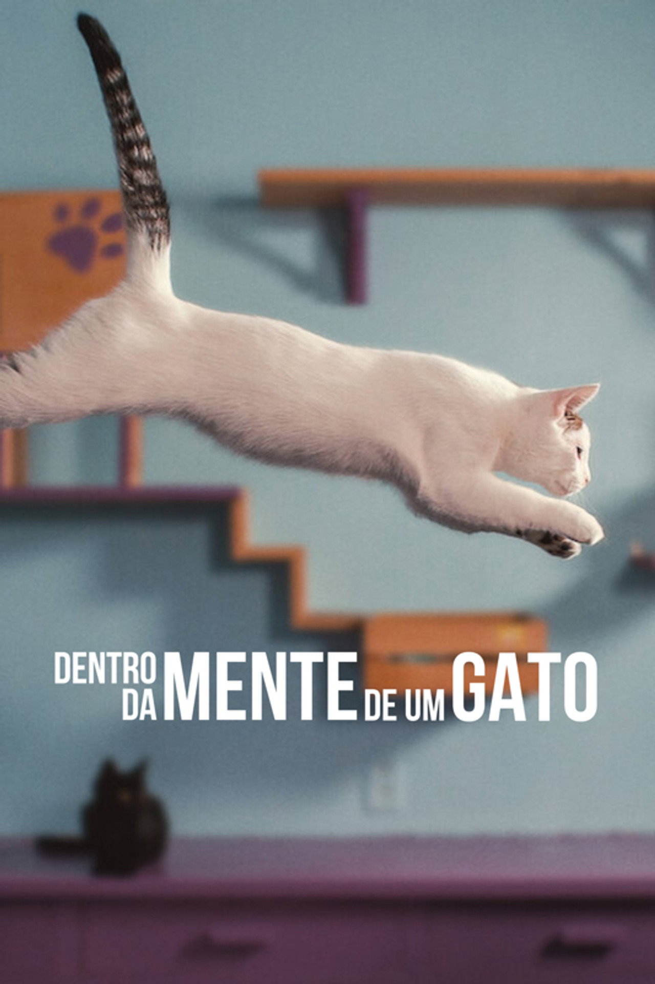 Pôster de Dentro da Mente de um Gato
